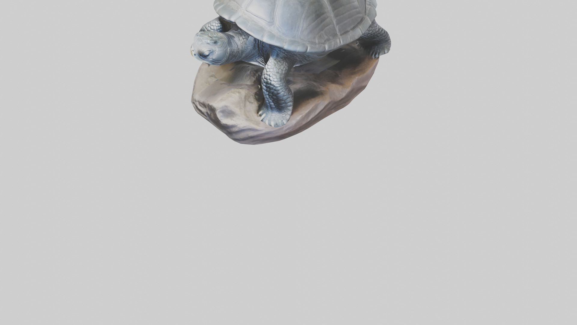 Leatherback Turtle statue model Low-poly 3D model_7