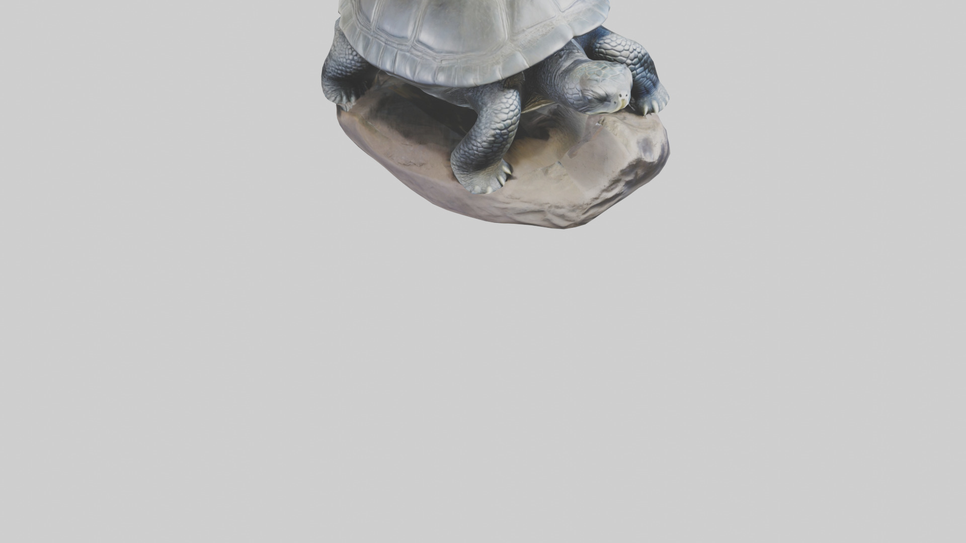Leatherback Turtle statue model Low-poly 3D model_8