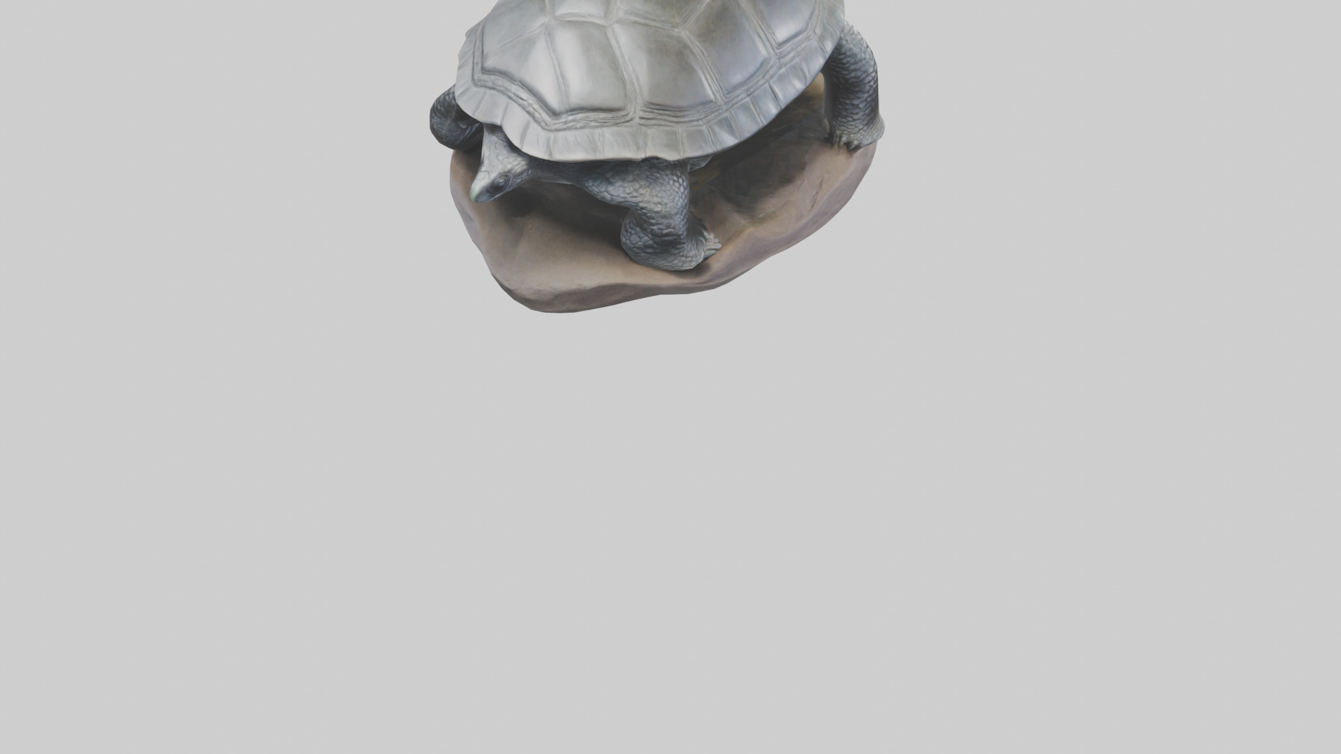 Leatherback Turtle statue model Low-poly 3D model_6