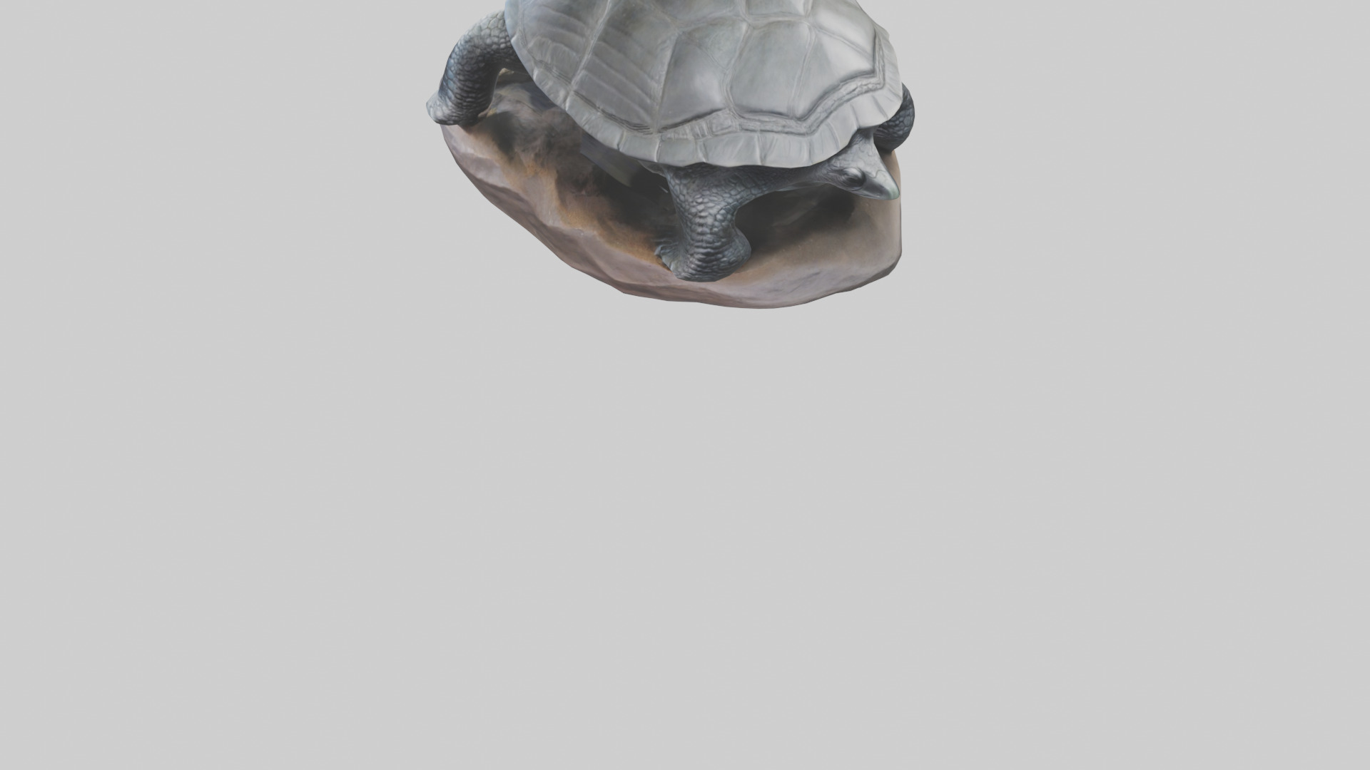 Leatherback Turtle statue model Low-poly 3D model_5