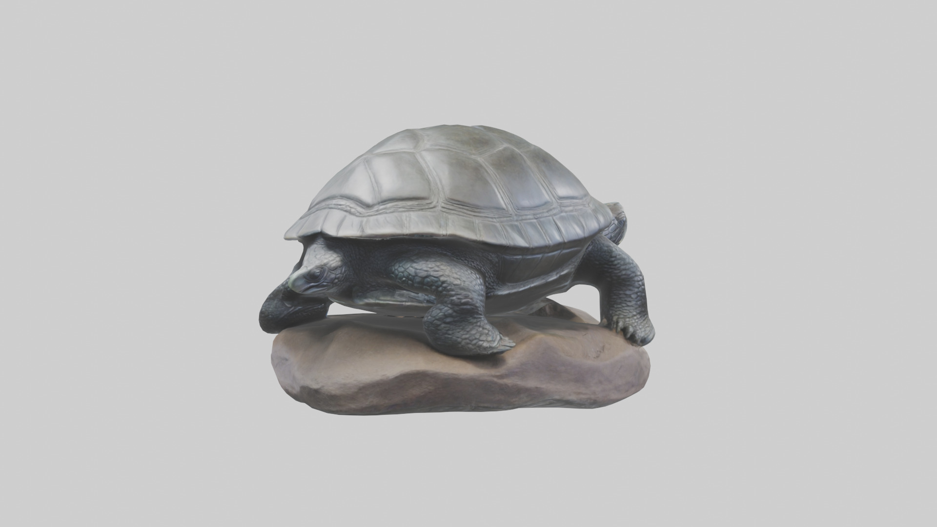 Leatherback Turtle statue model Low-poly 3D model_4