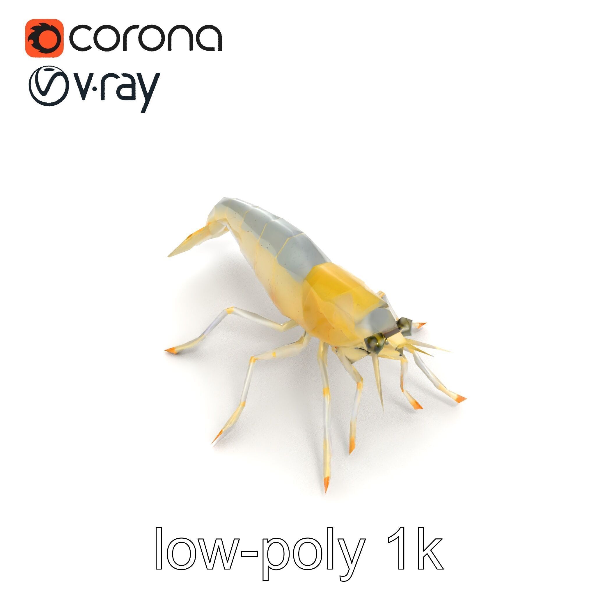 Ghost Shrimp Semi-Transparent Model Pack Low-poly 3D model_25