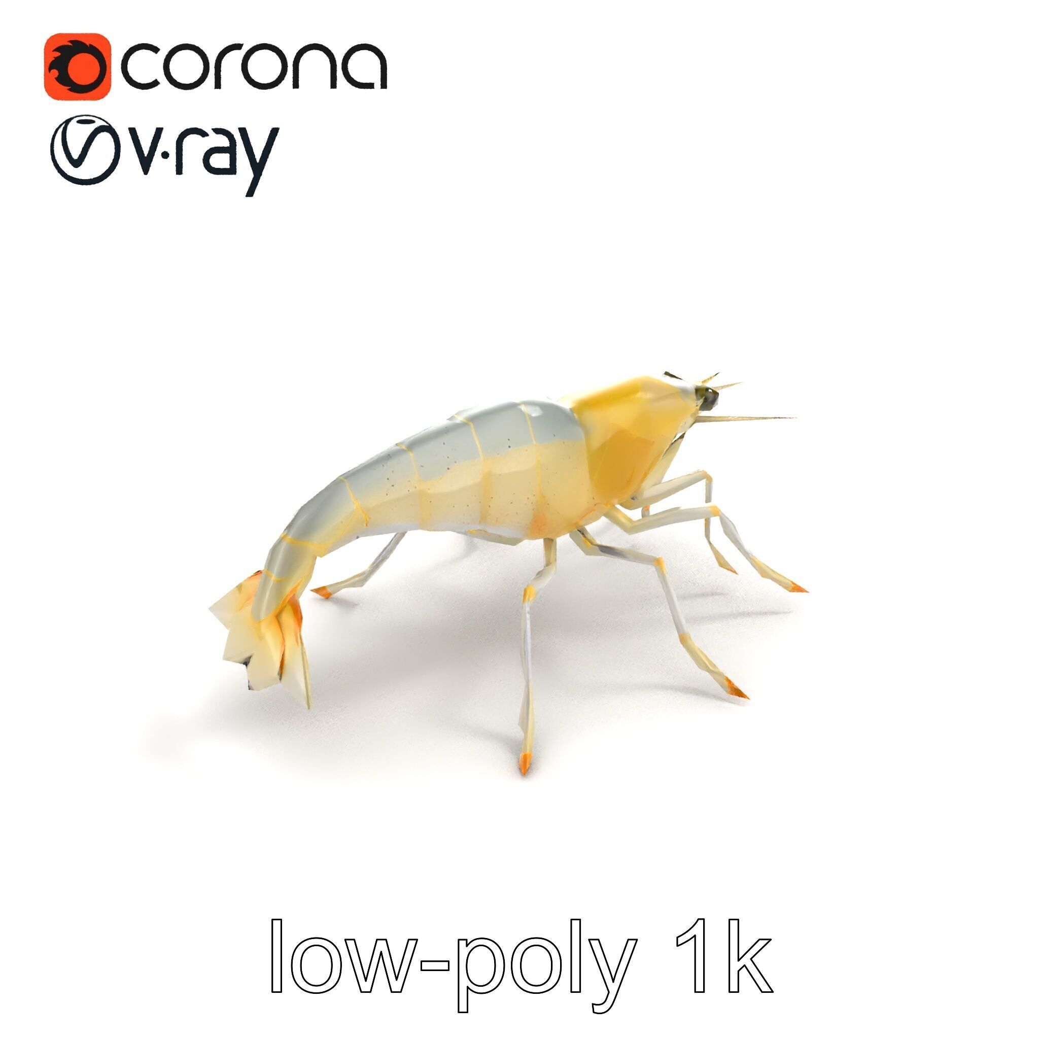 Ghost Shrimp Semi-Transparent Model Pack Low-poly 3D model_8