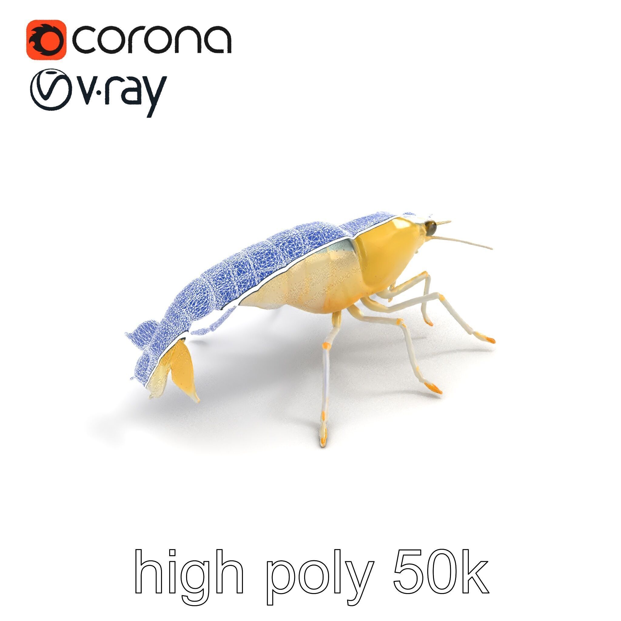Ghost Shrimp Semi-Transparent Model Pack Low-poly 3D model_16