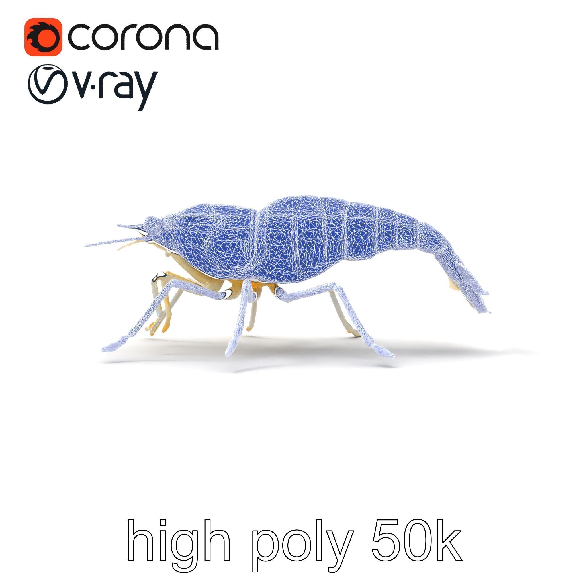 Ghost Shrimp Semi-Transparent Model Pack Low-poly 3D model_27