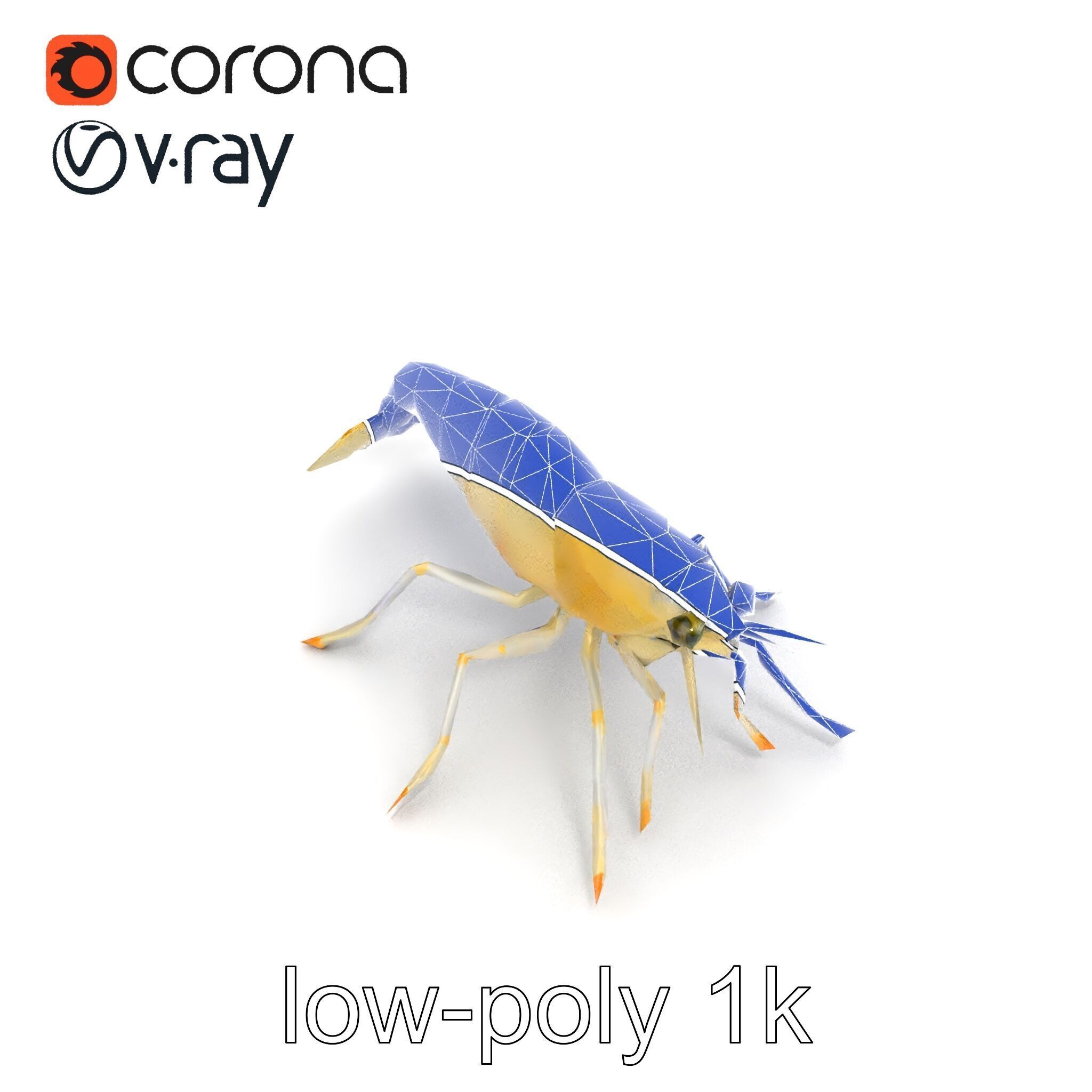 Ghost Shrimp Semi-Transparent Model Pack Low-poly 3D model_15