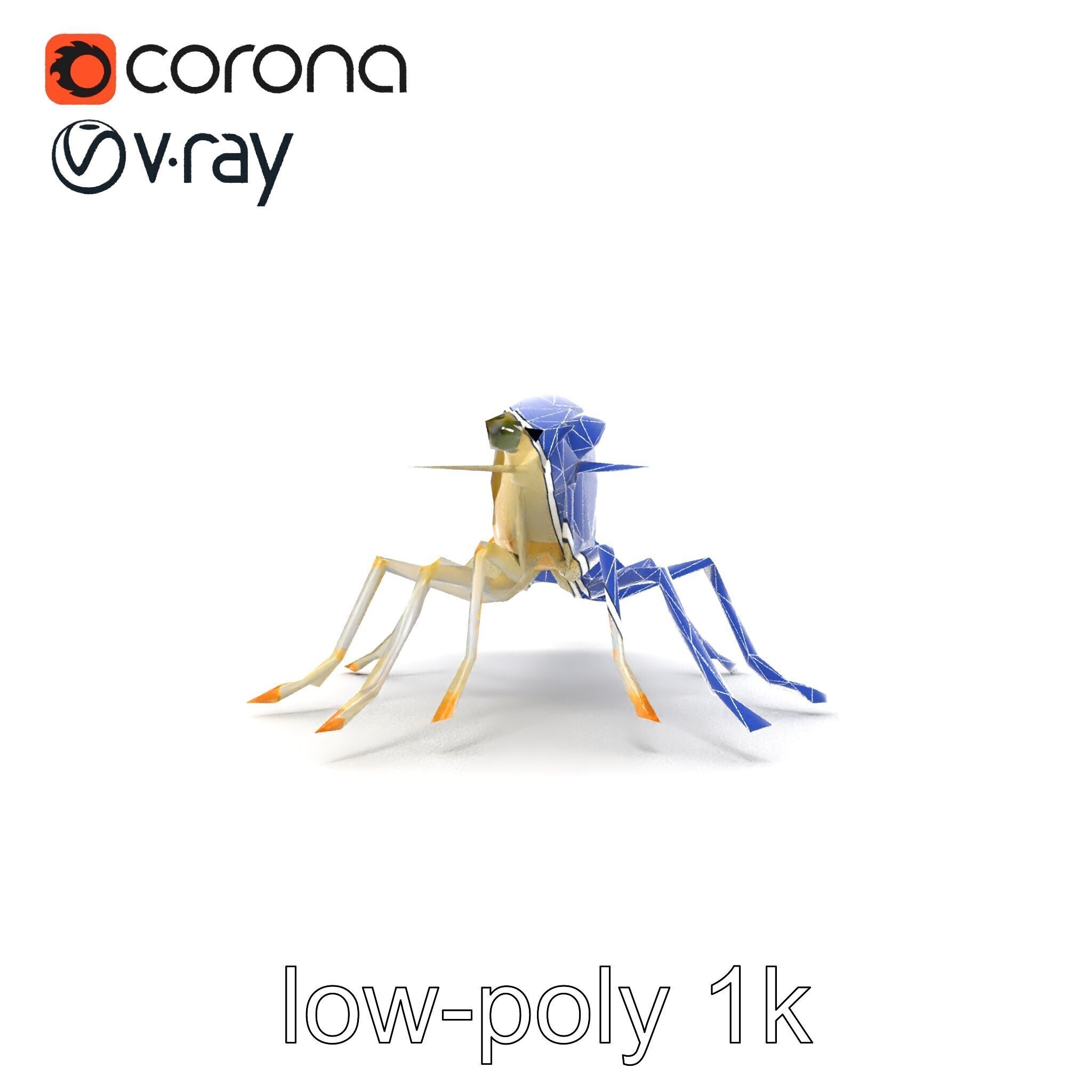 Ghost Shrimp Semi-Transparent Model Pack Low-poly 3D model_20