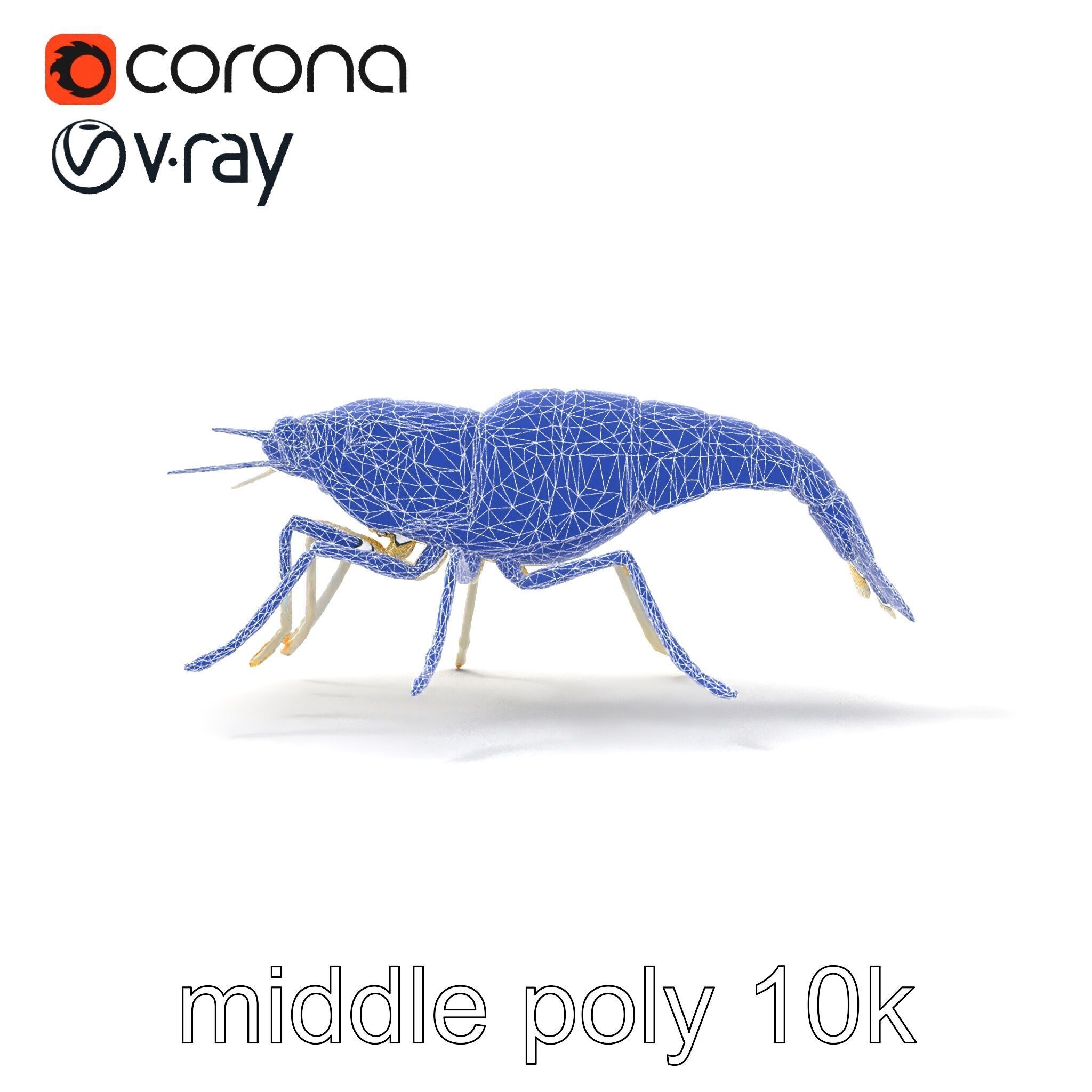 Ghost Shrimp Semi-Transparent Model Pack Low-poly 3D model_30