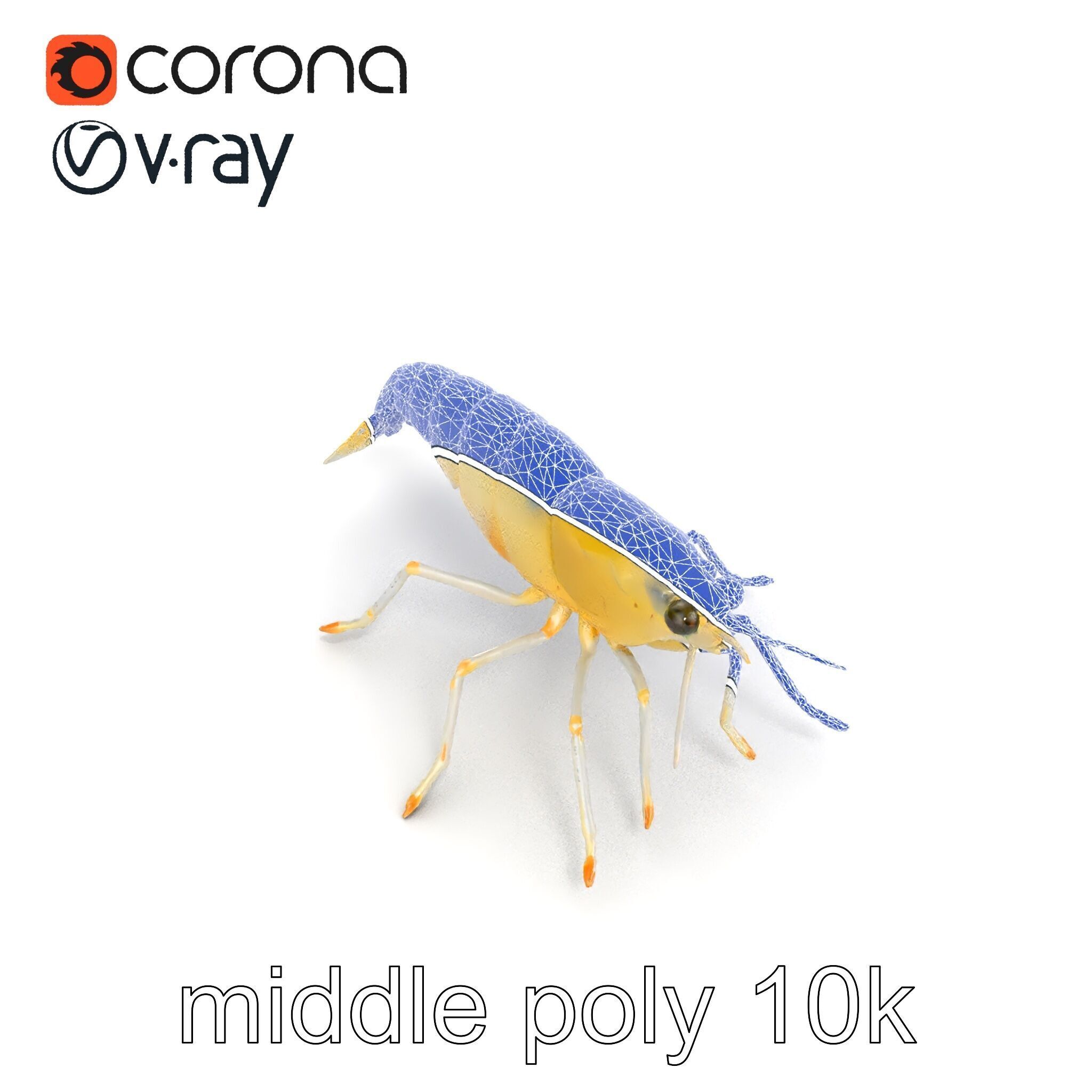 Ghost Shrimp Semi-Transparent Model Pack Low-poly 3D model_17