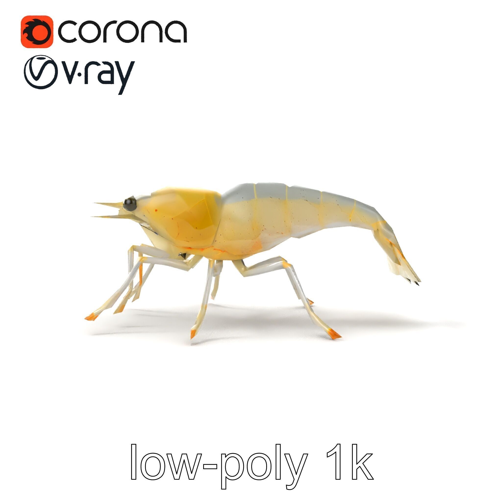 Ghost Shrimp Semi-Transparent Model Pack Low-poly 3D model_13