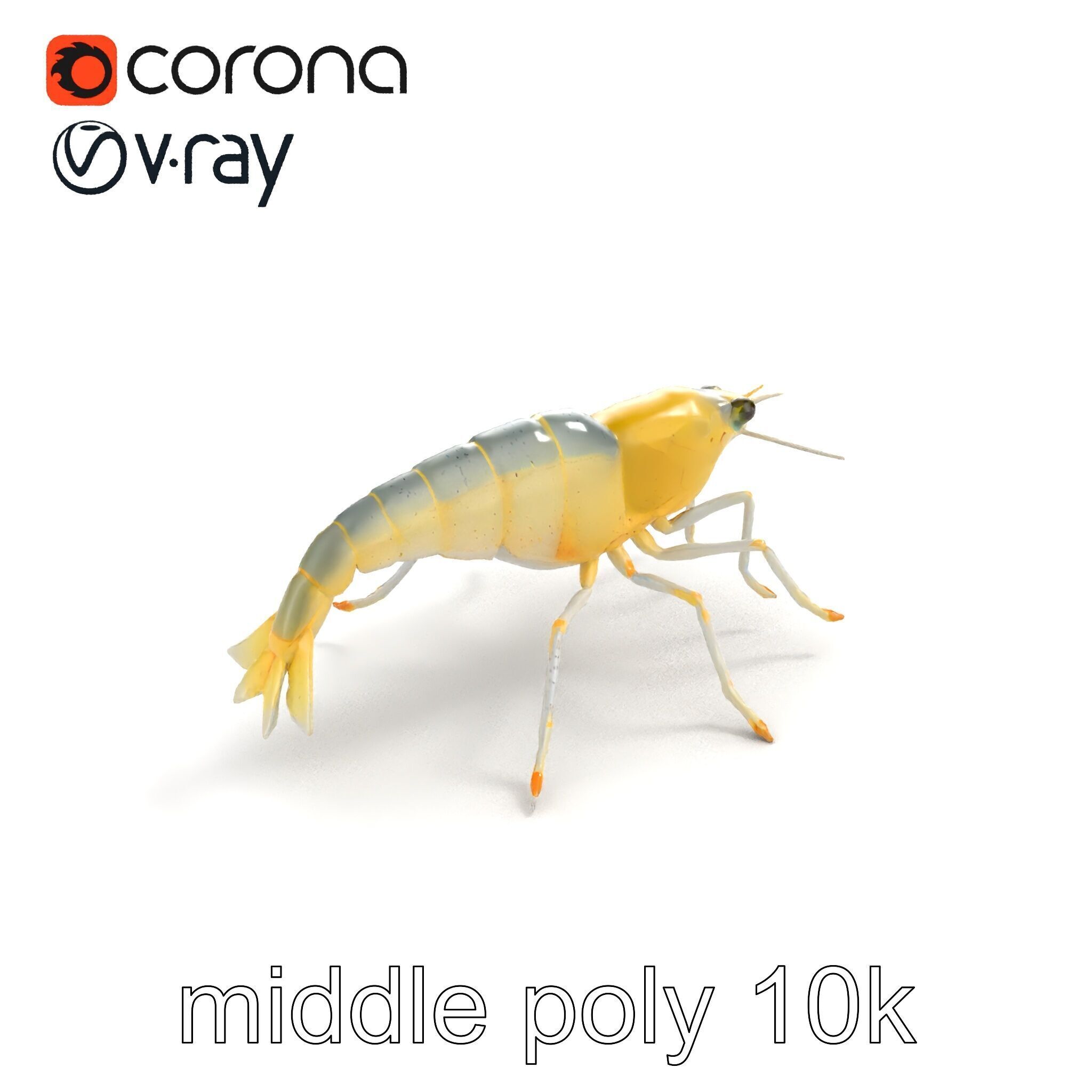 Ghost Shrimp Semi-Transparent Model Pack Low-poly 3D model_7