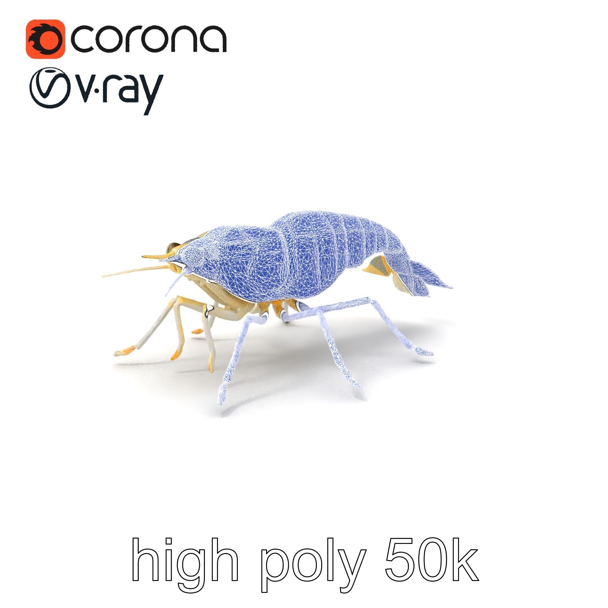 Ghost Shrimp Semi-Transparent Model Pack Low-poly 3D model_1