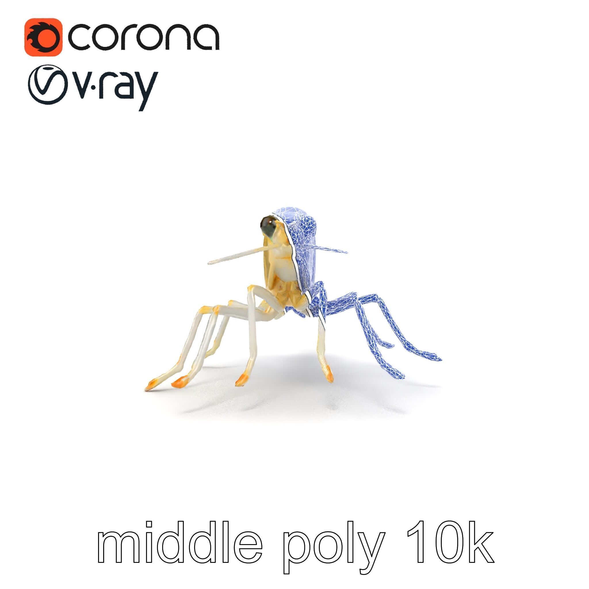 Ghost Shrimp Semi-Transparent Model Pack Low-poly 3D model_18