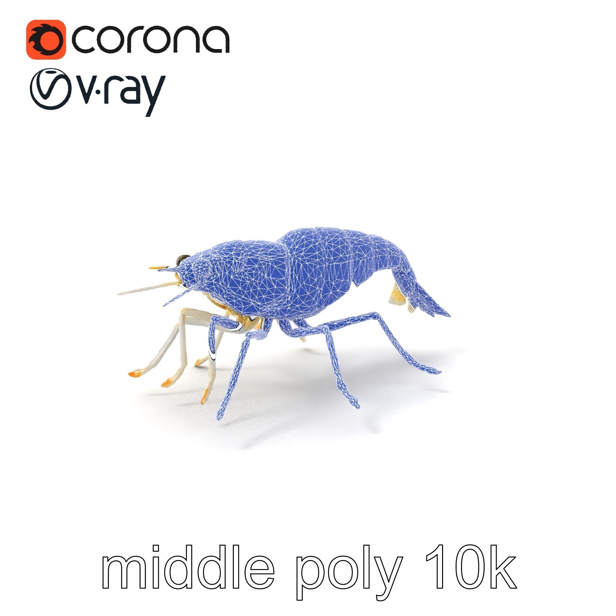 Ghost Shrimp Semi-Transparent Model Pack Low-poly 3D model_5