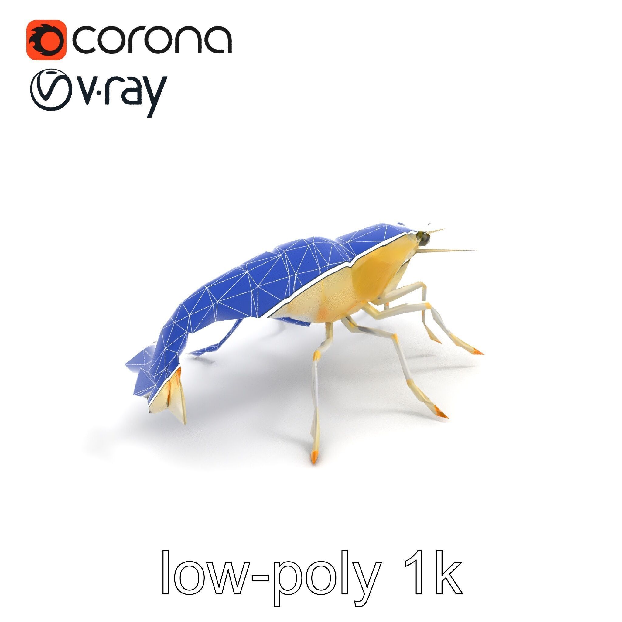 Ghost Shrimp Semi-Transparent Model Pack Low-poly 3D model_28