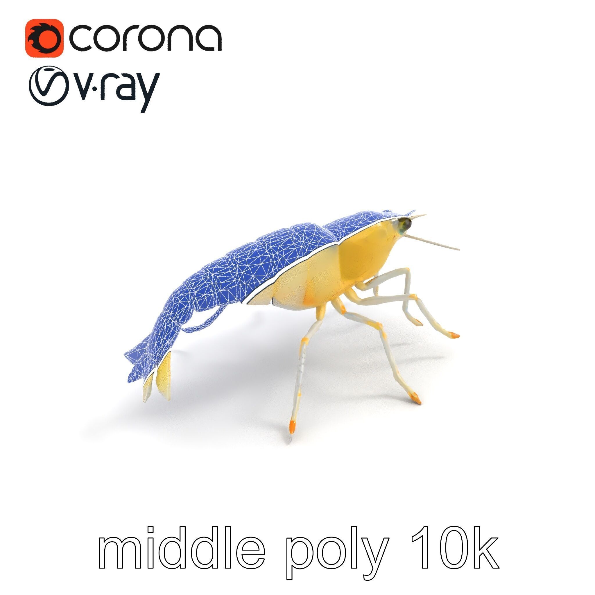 Ghost Shrimp Semi-Transparent Model Pack Low-poly 3D model_10