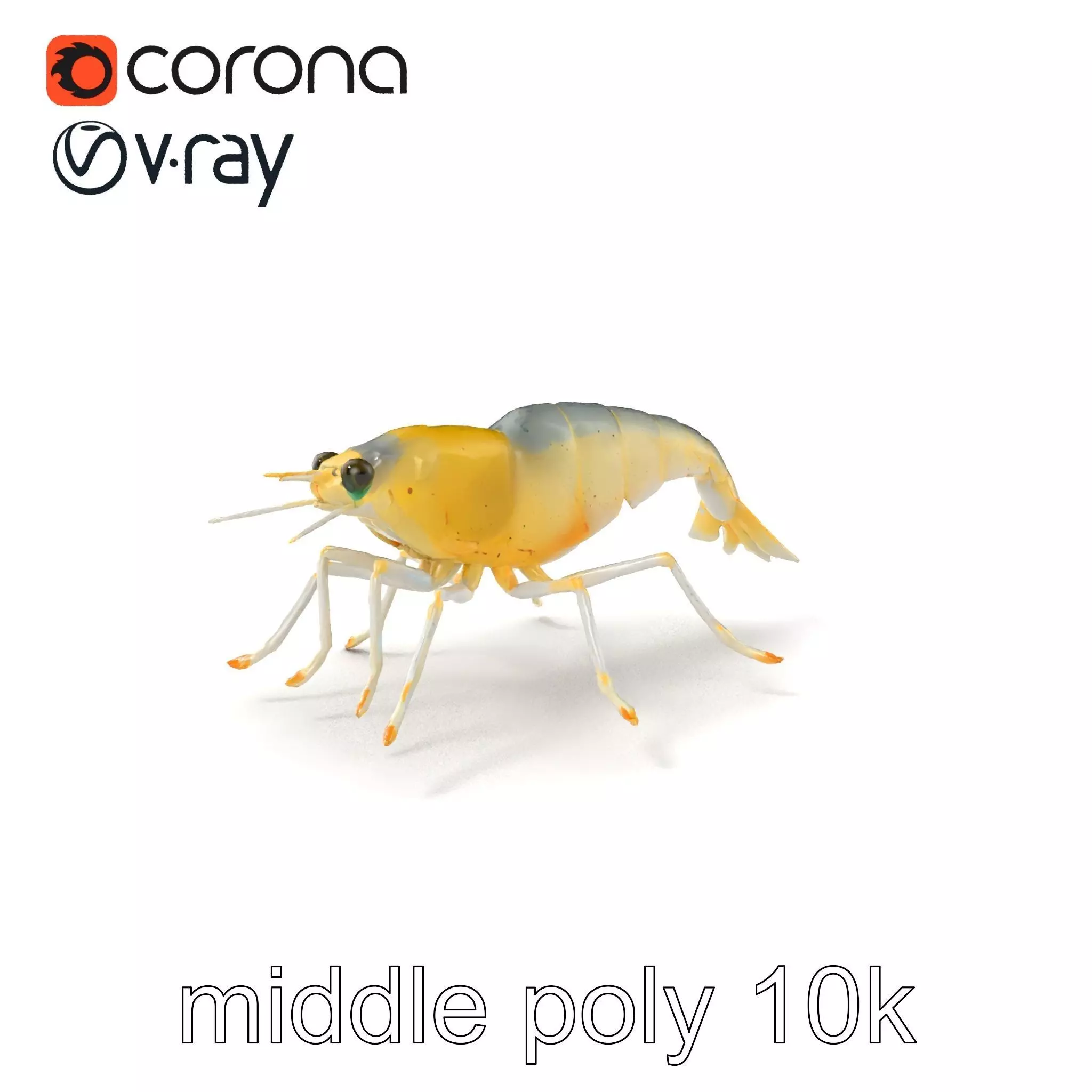 Ghost Shrimp Semi-Transparent Model Pack Low-poly 3D model_0