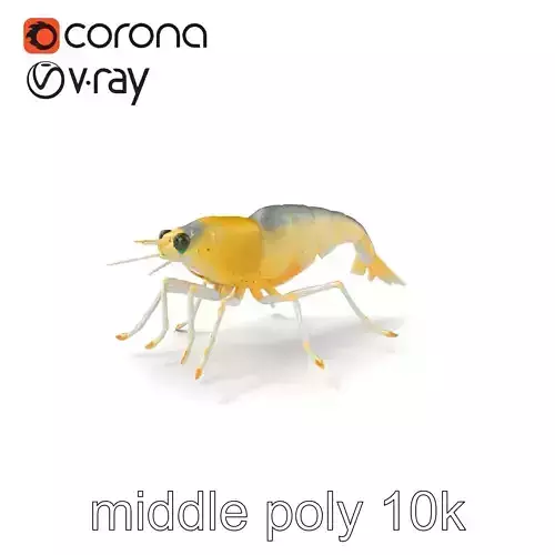 Ghost Shrimp Semi-Transparent Model Pack Low-poly 3D model
