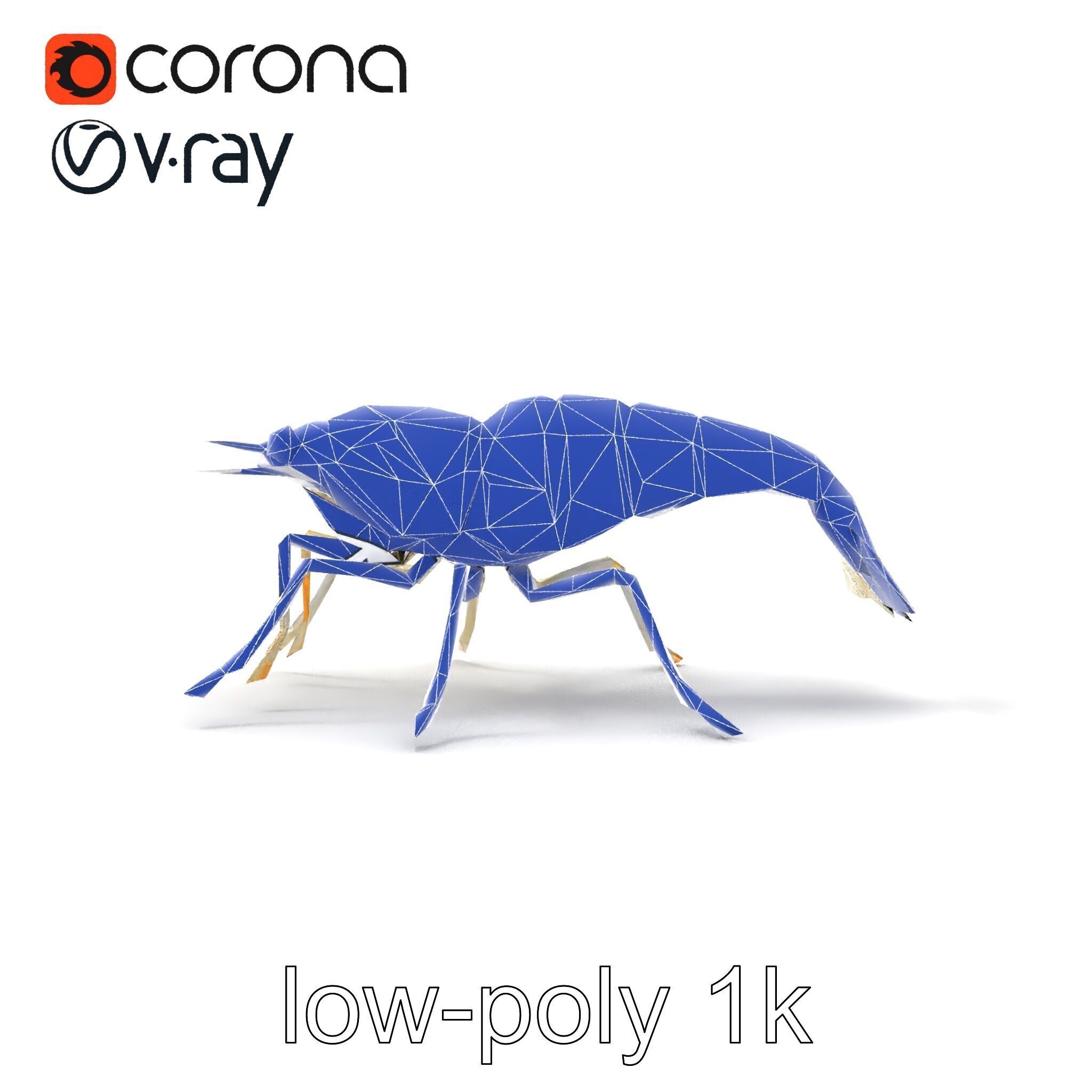 Ghost Shrimp Semi-Transparent Model Pack Low-poly 3D model_23