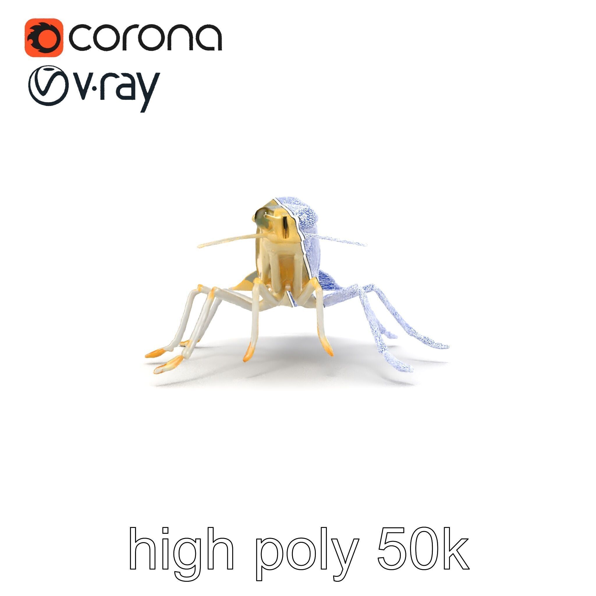 Ghost Shrimp Semi-Transparent Model Pack Low-poly 3D model_22