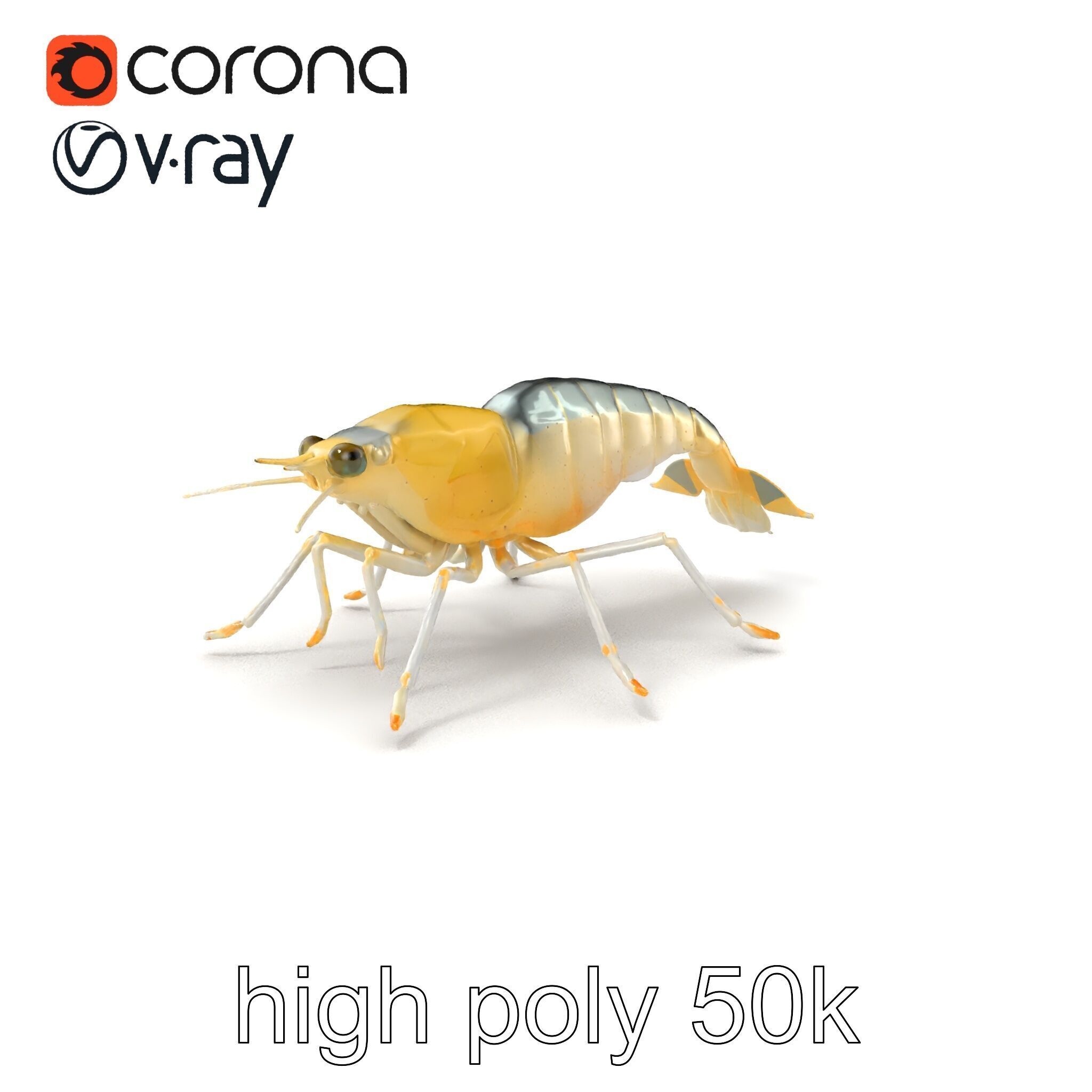 Ghost Shrimp Semi-Transparent Model Pack Low-poly 3D model_2
