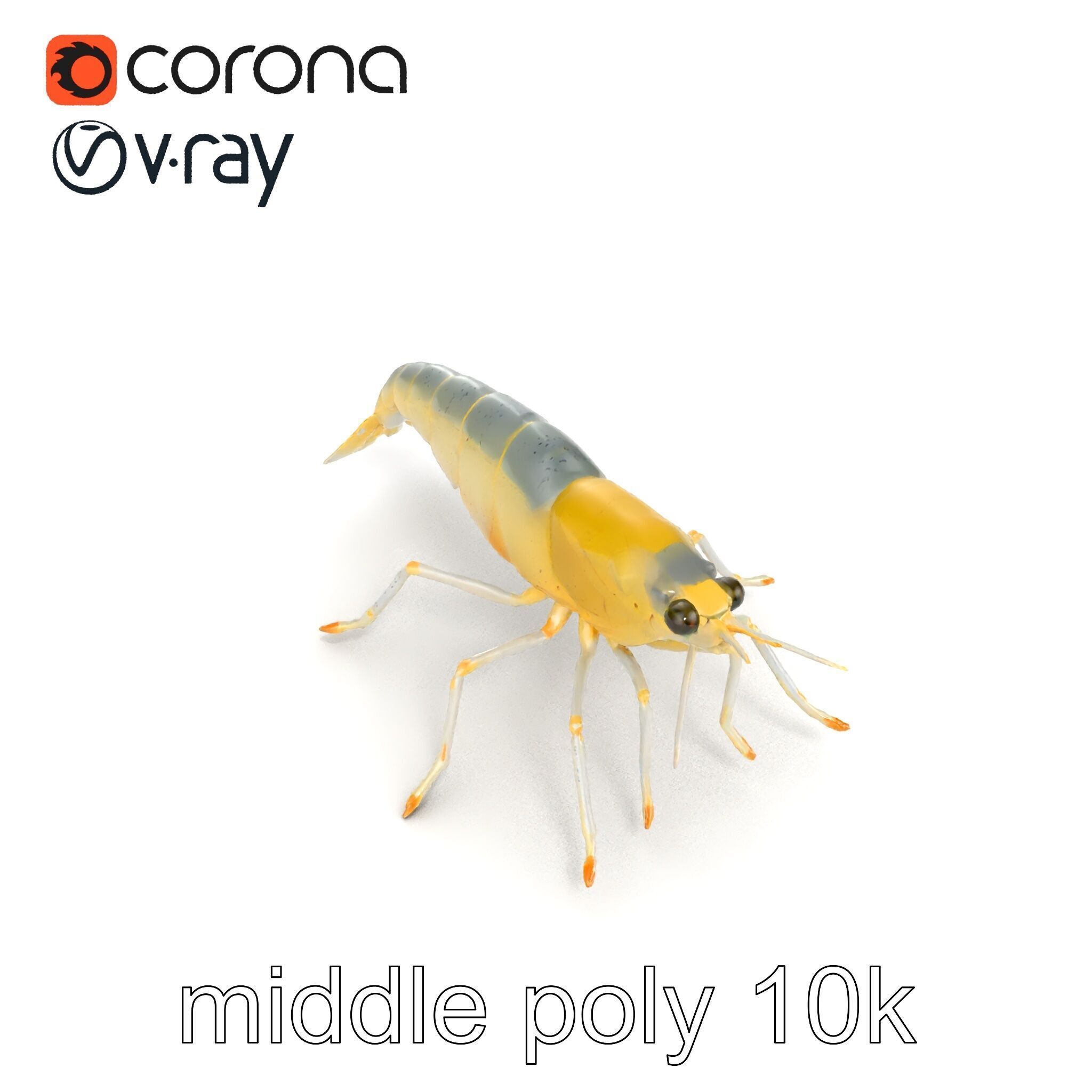 Ghost Shrimp Semi-Transparent Model Pack Low-poly 3D model_11