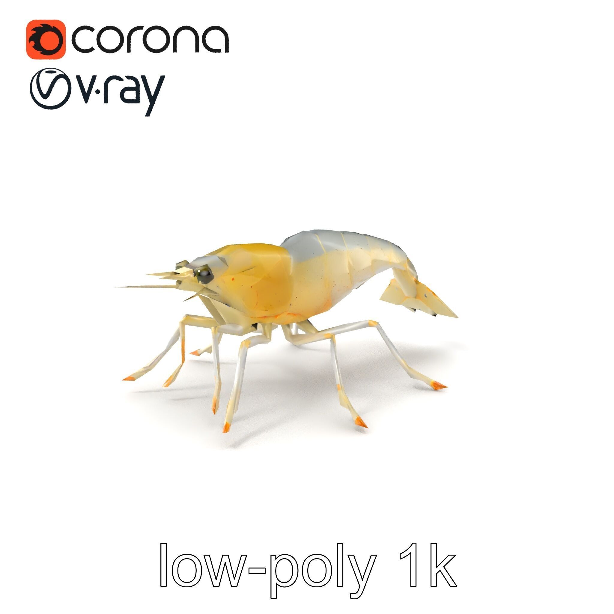 Ghost Shrimp Semi-Transparent Model Pack Low-poly 3D model_4