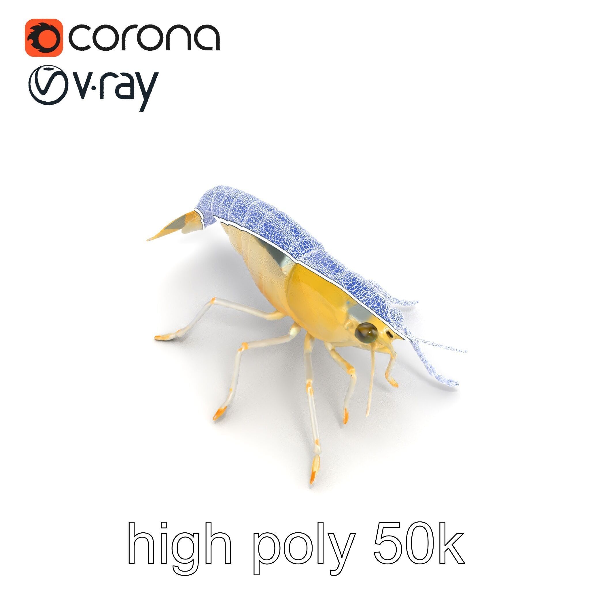 Ghost Shrimp Semi-Transparent Model Pack Low-poly 3D model_29