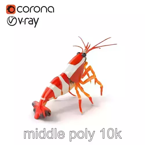 Harlequin Shrimp Vibrant Aquatic Model Pack Low-poly 3D model