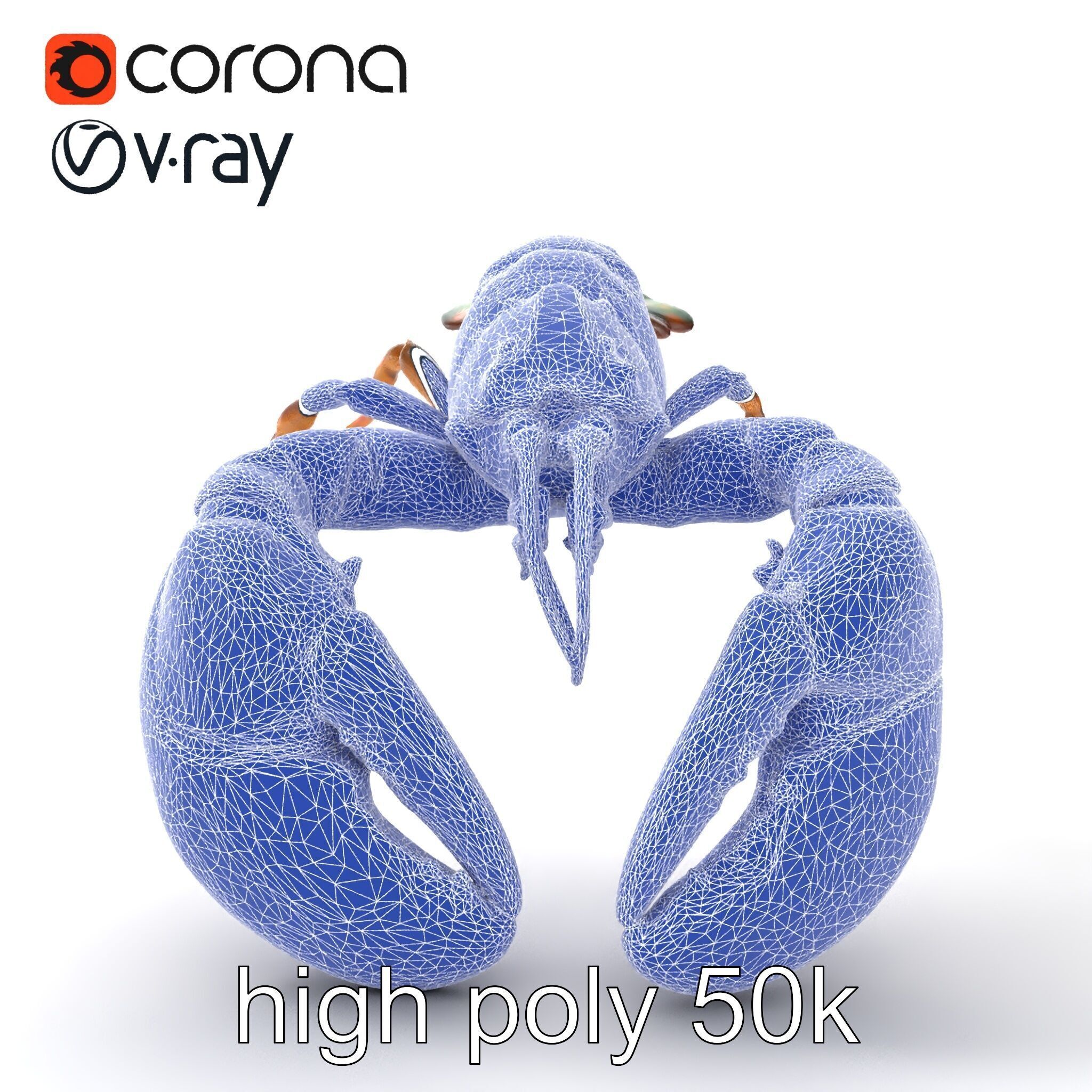 Lobster Realistic Textured Shell Model Pack Low-poly 3D model_29