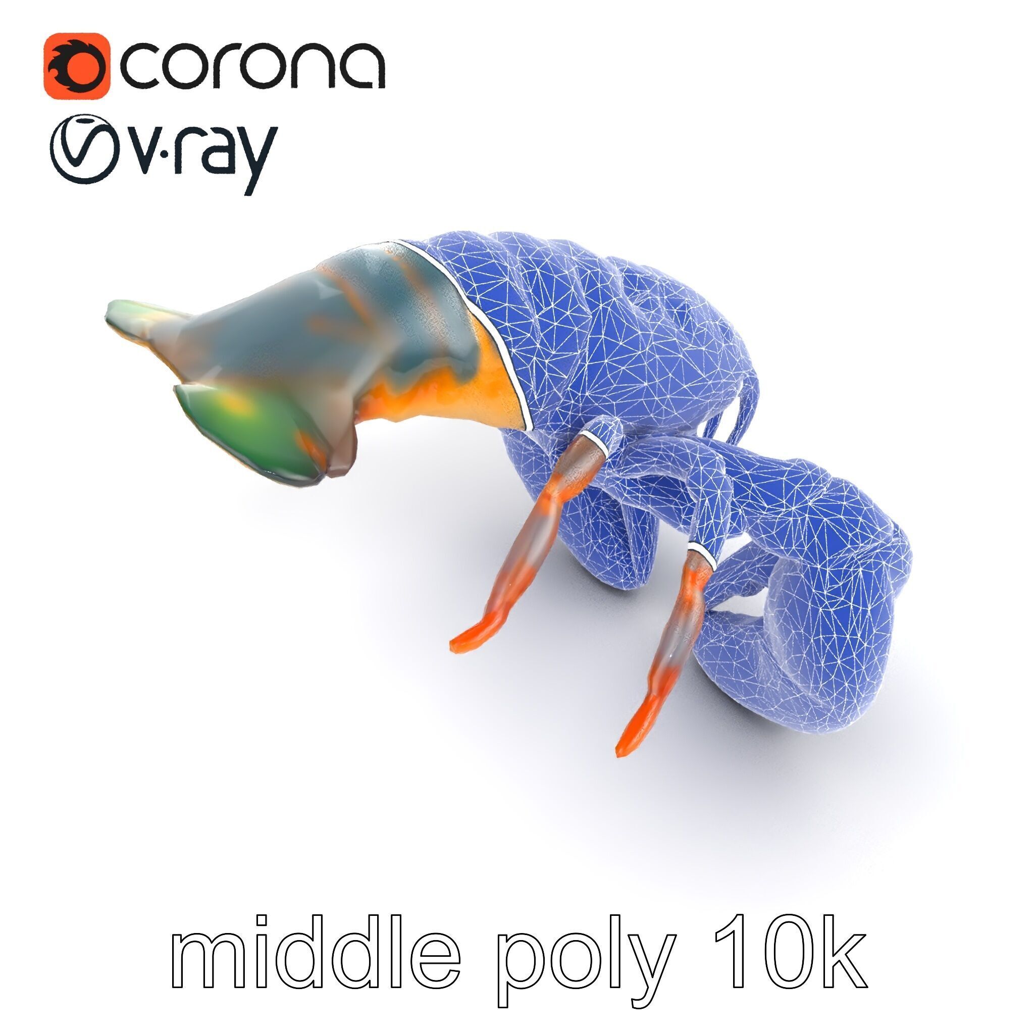 Lobster Realistic Textured Shell Model Pack Low-poly 3D model_20