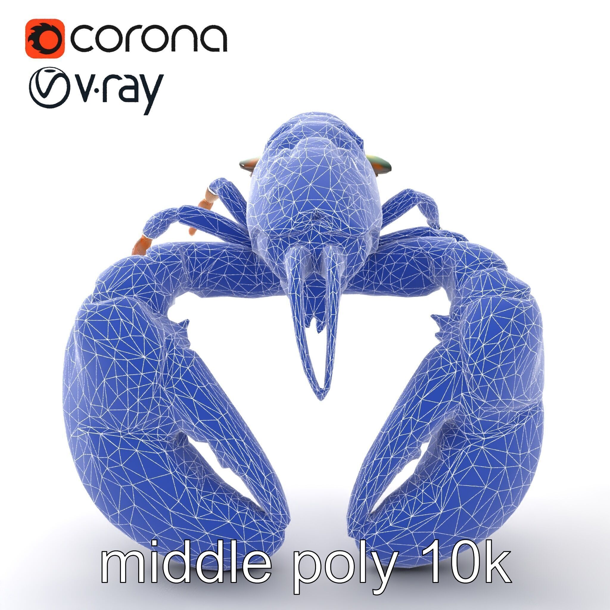 Lobster Realistic Textured Shell Model Pack Low-poly 3D model_28