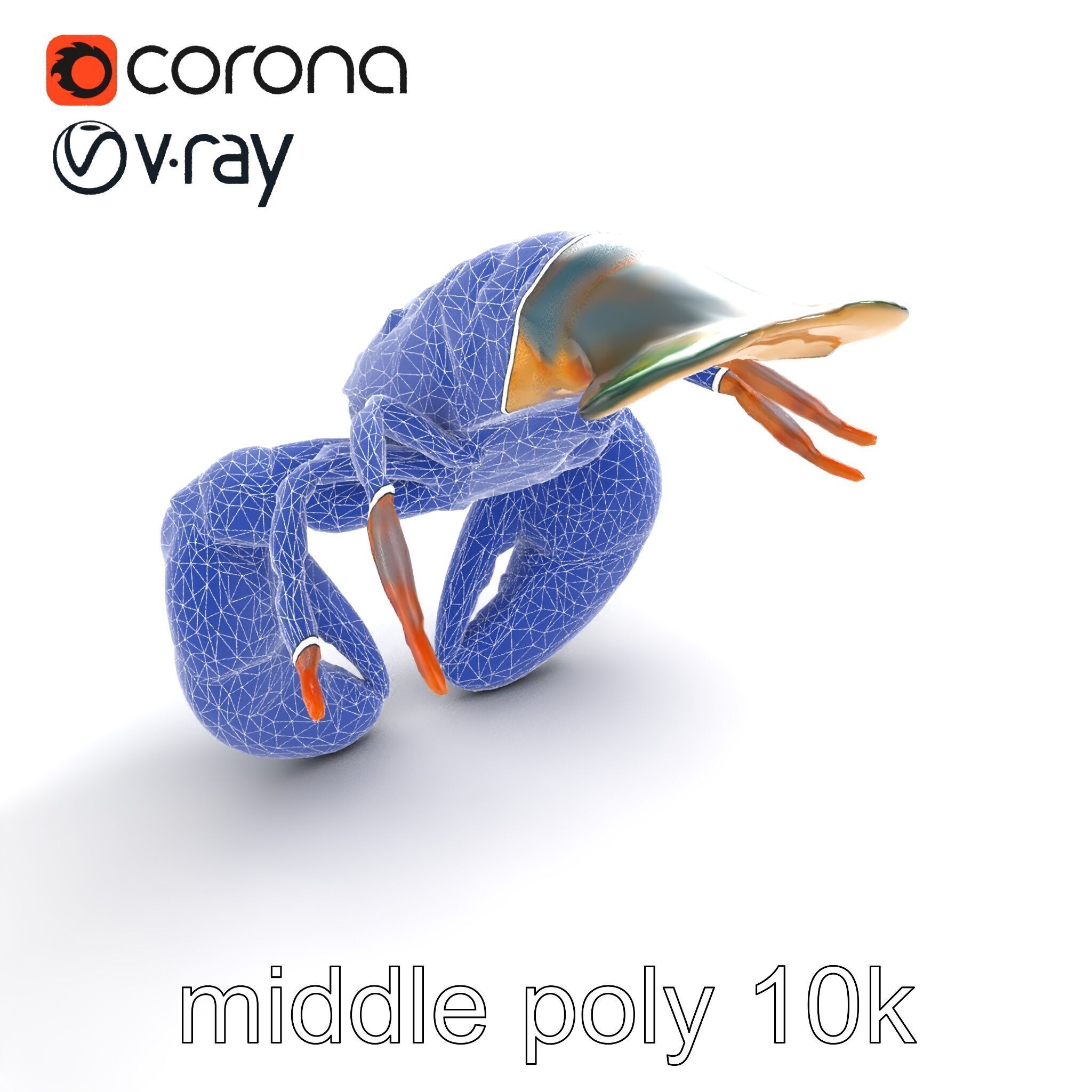 Lobster Realistic Textured Shell Model Pack Low-poly 3D model_26