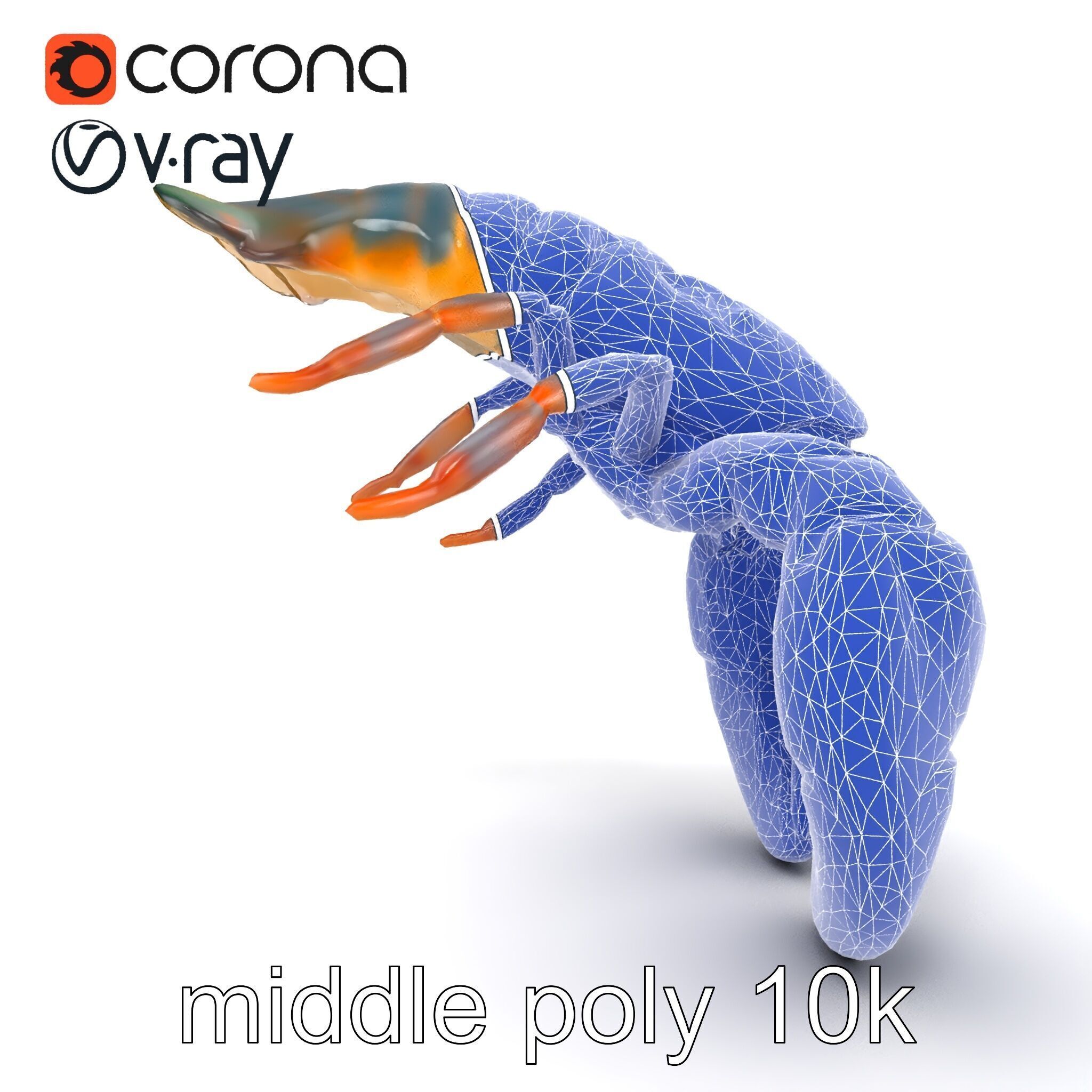 Lobster Realistic Textured Shell Model Pack Low-poly 3D model_11