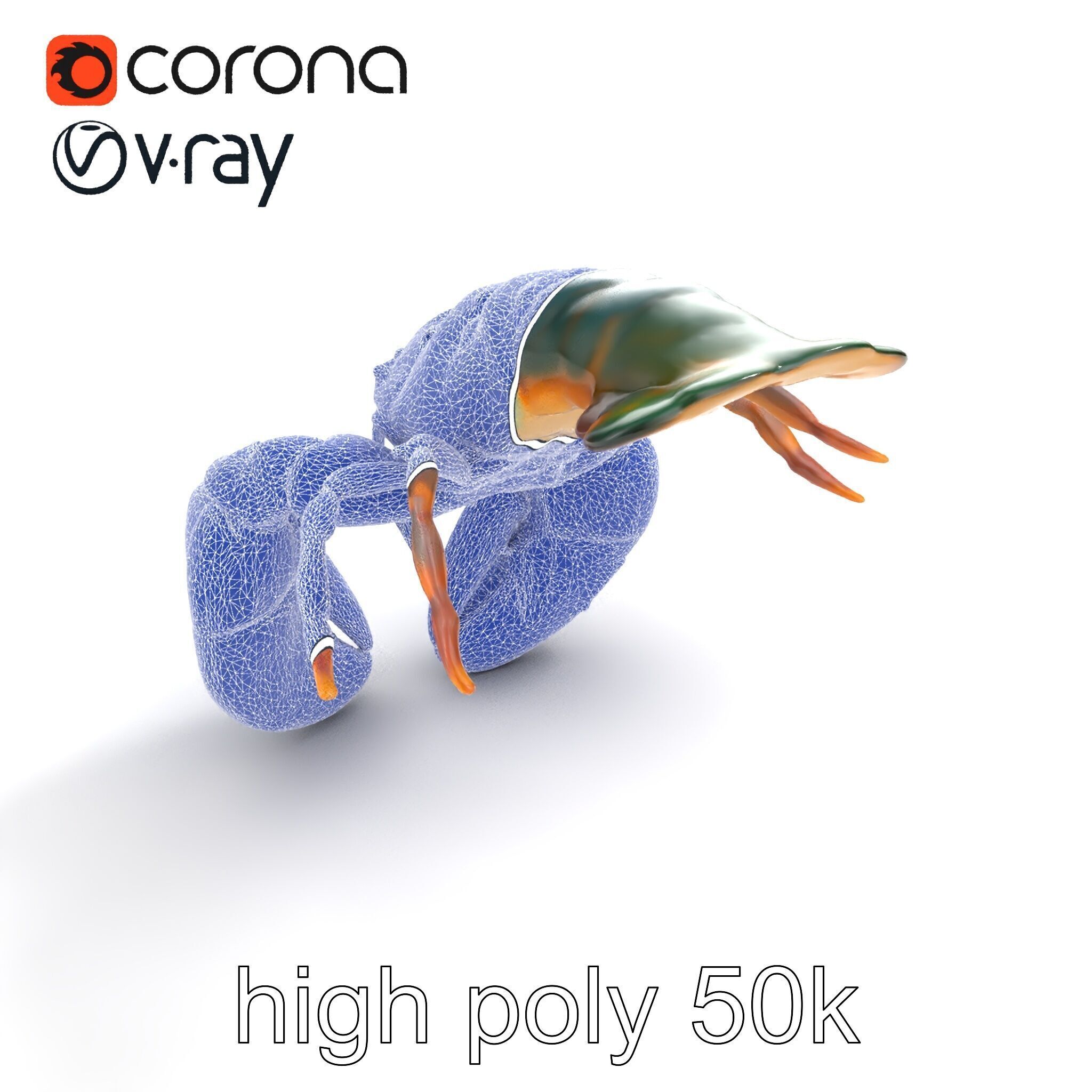 Lobster Realistic Textured Shell Model Pack Low-poly 3D model_10