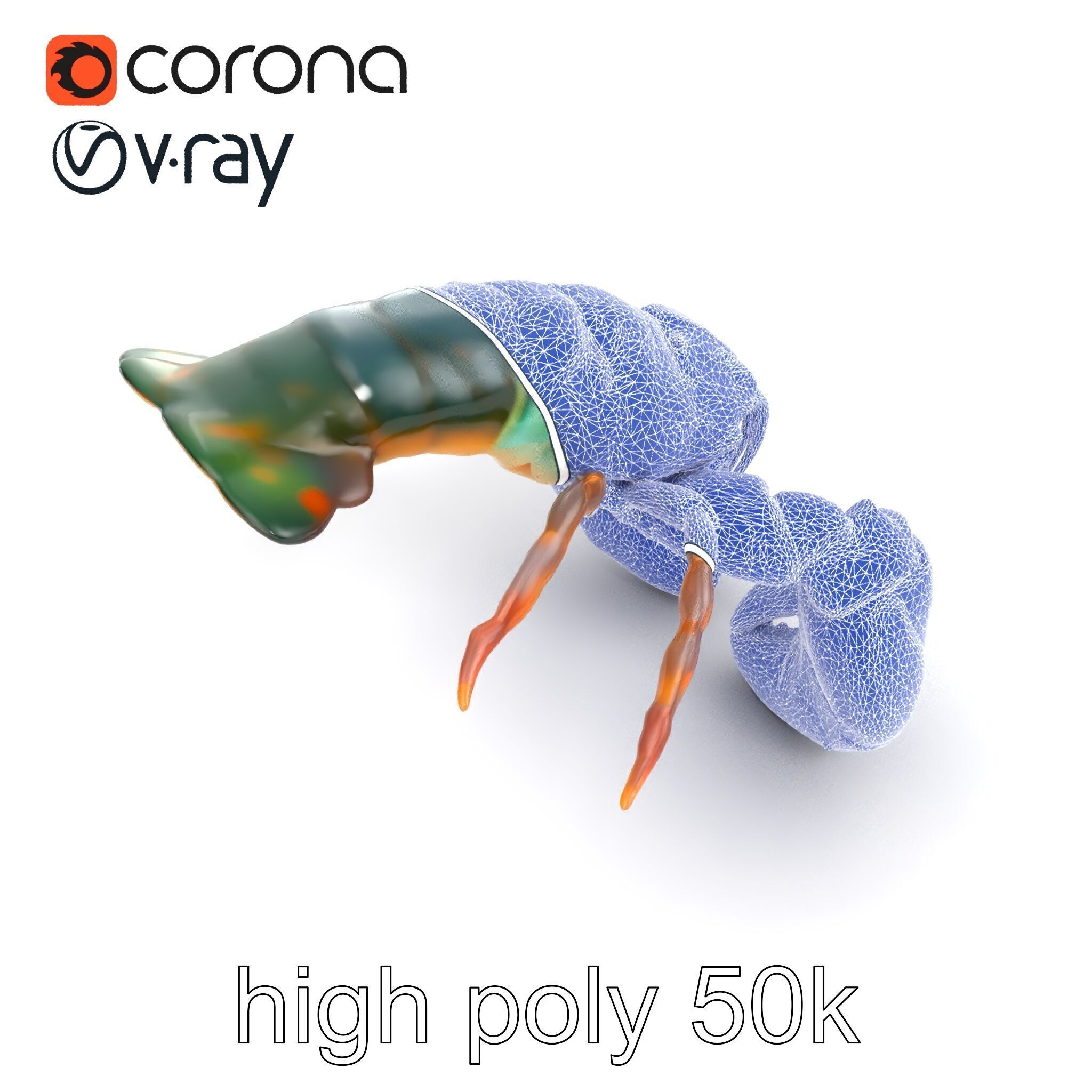 Lobster Realistic Textured Shell Model Pack Low-poly 3D model_16