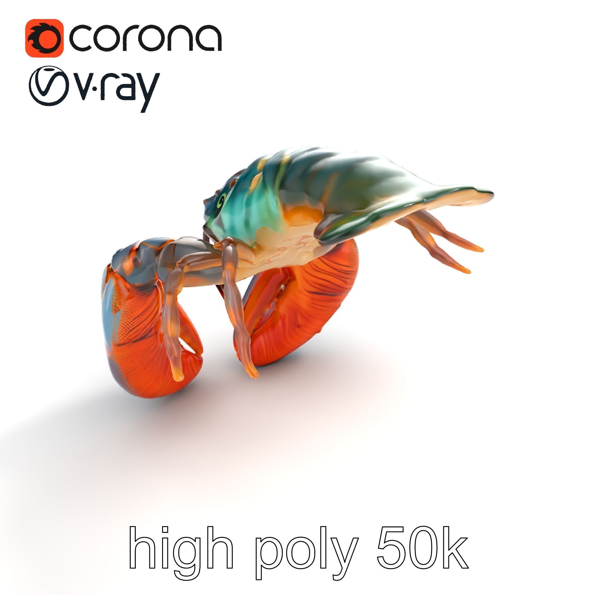 Lobster Realistic Textured Shell Model Pack Low-poly 3D model_9