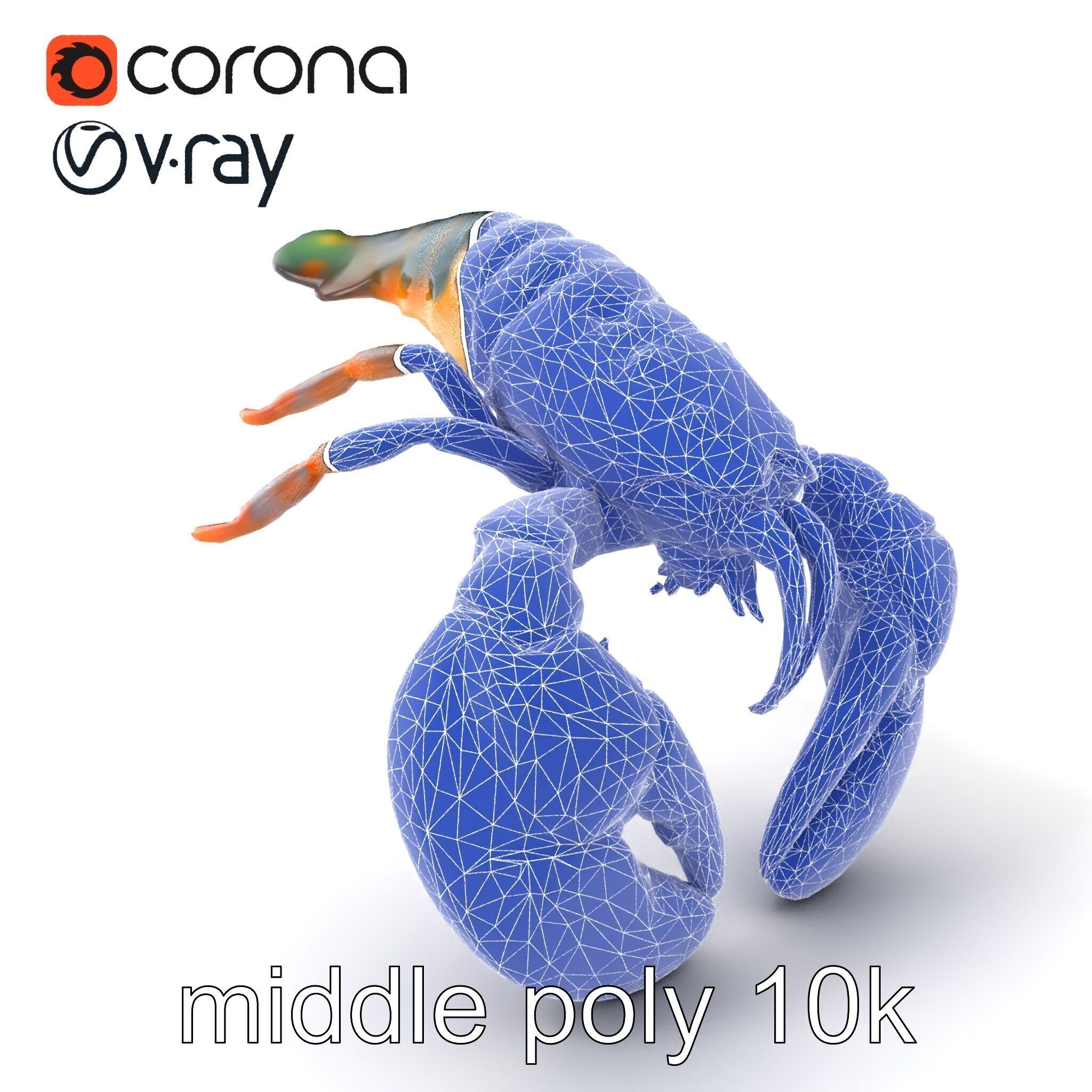 Lobster Realistic Textured Shell Model Pack Low-poly 3D model_5