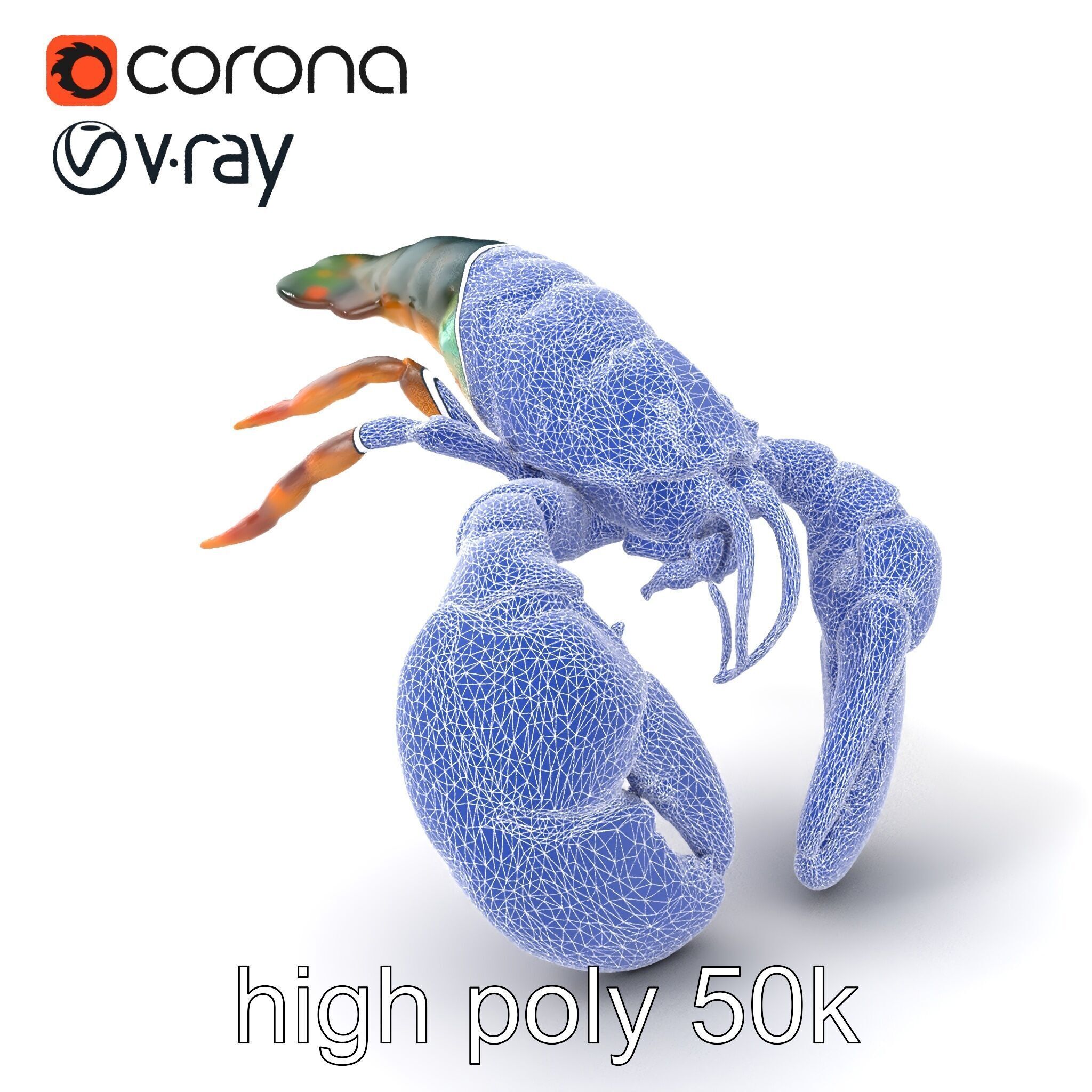 Lobster Realistic Textured Shell Model Pack Low-poly 3D model_1