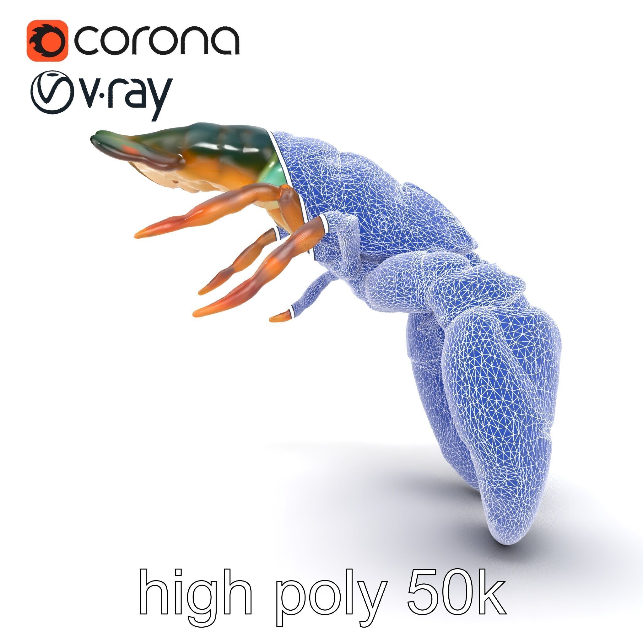 Lobster Realistic Textured Shell Model Pack Low-poly 3D model_27