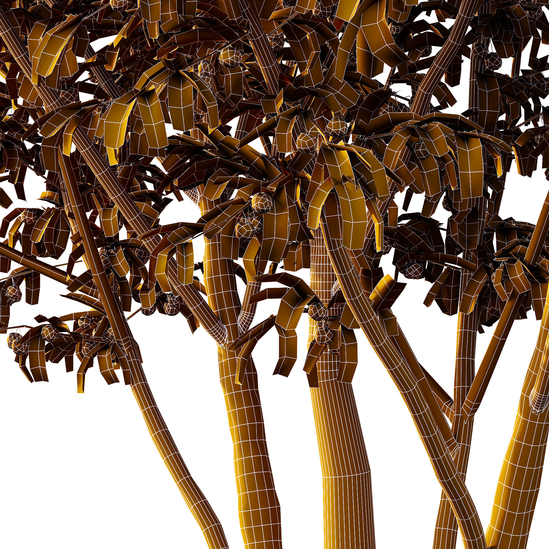 Prunus pseudocerasus Fruit Tree 05 3D model_6