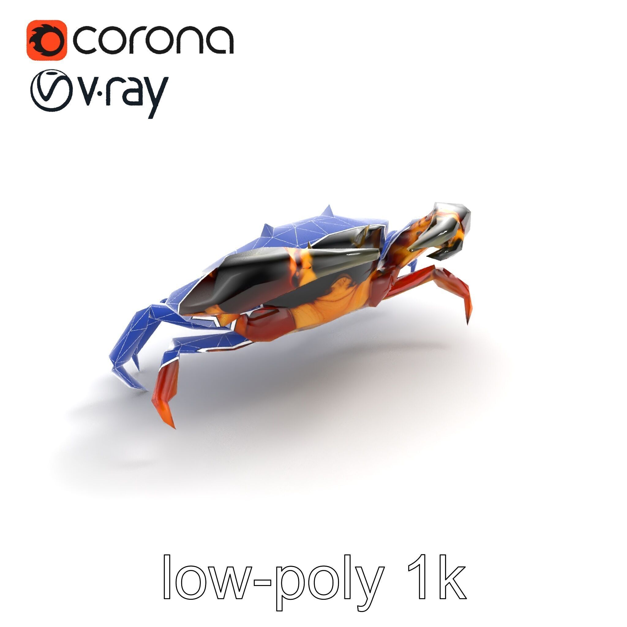 Mud Crab 3D Model Pack Featuring Realistic Earthy Texture Low-poly 3D model_19