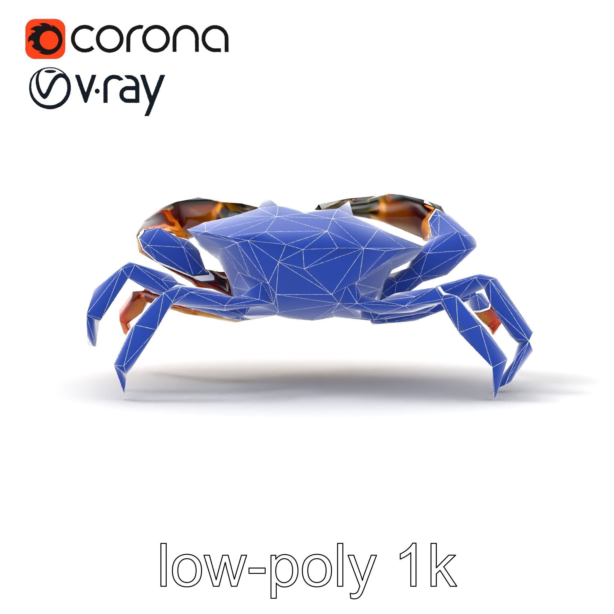 Mud Crab 3D Model Pack Featuring Realistic Earthy Texture Low-poly 3D model_11