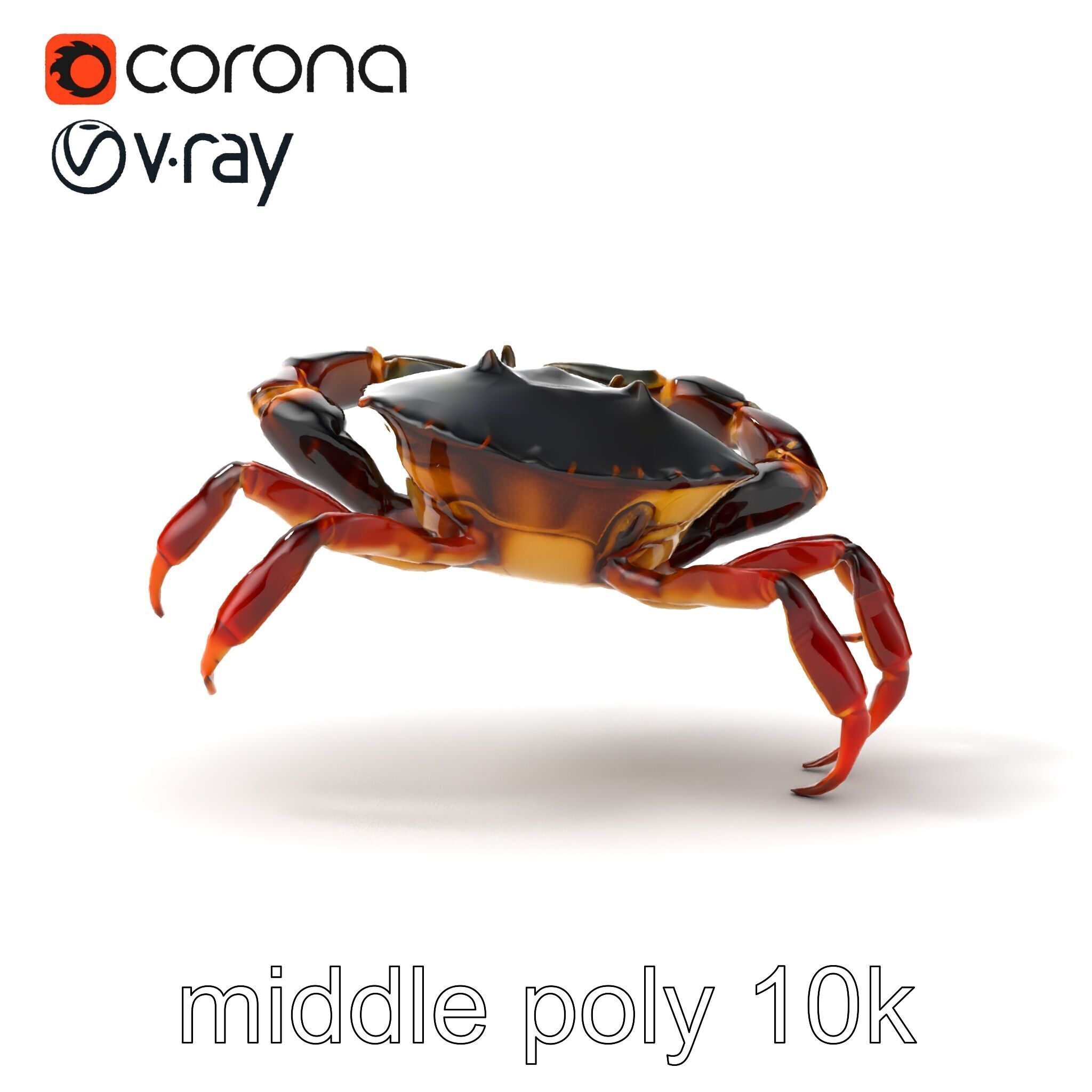 Mud Crab 3D Model Pack Featuring Realistic Earthy Texture Low-poly 3D model_30