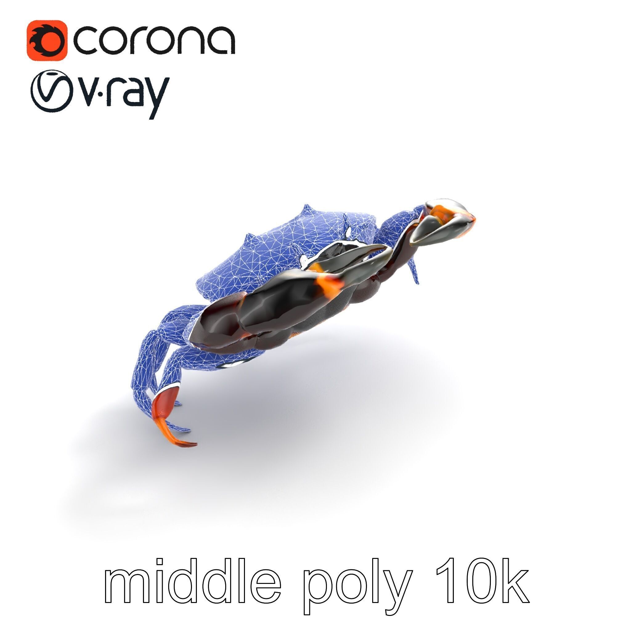 Mud Crab 3D Model Pack Featuring Realistic Earthy Texture Low-poly 3D model_10
