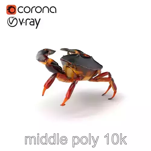 Mud Crab 3D Model Pack Featuring Realistic Earthy Texture Low-poly 3D model