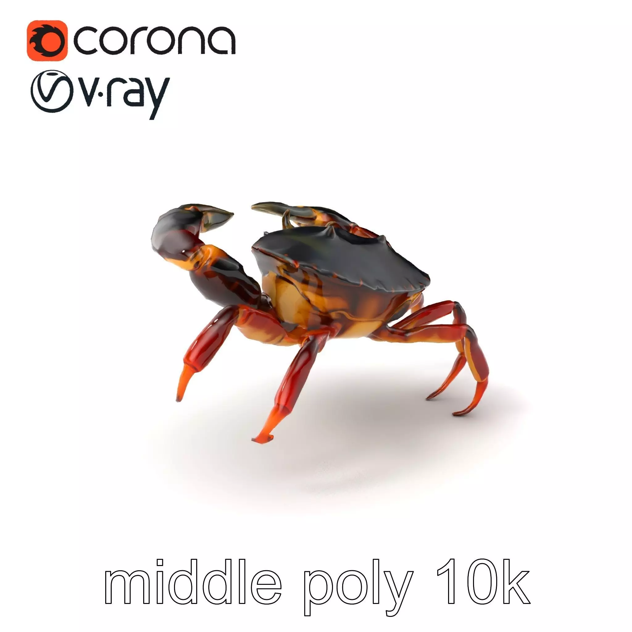 Mud Crab 3D Model Pack Featuring Realistic Earthy Texture Low-poly 3D model_0