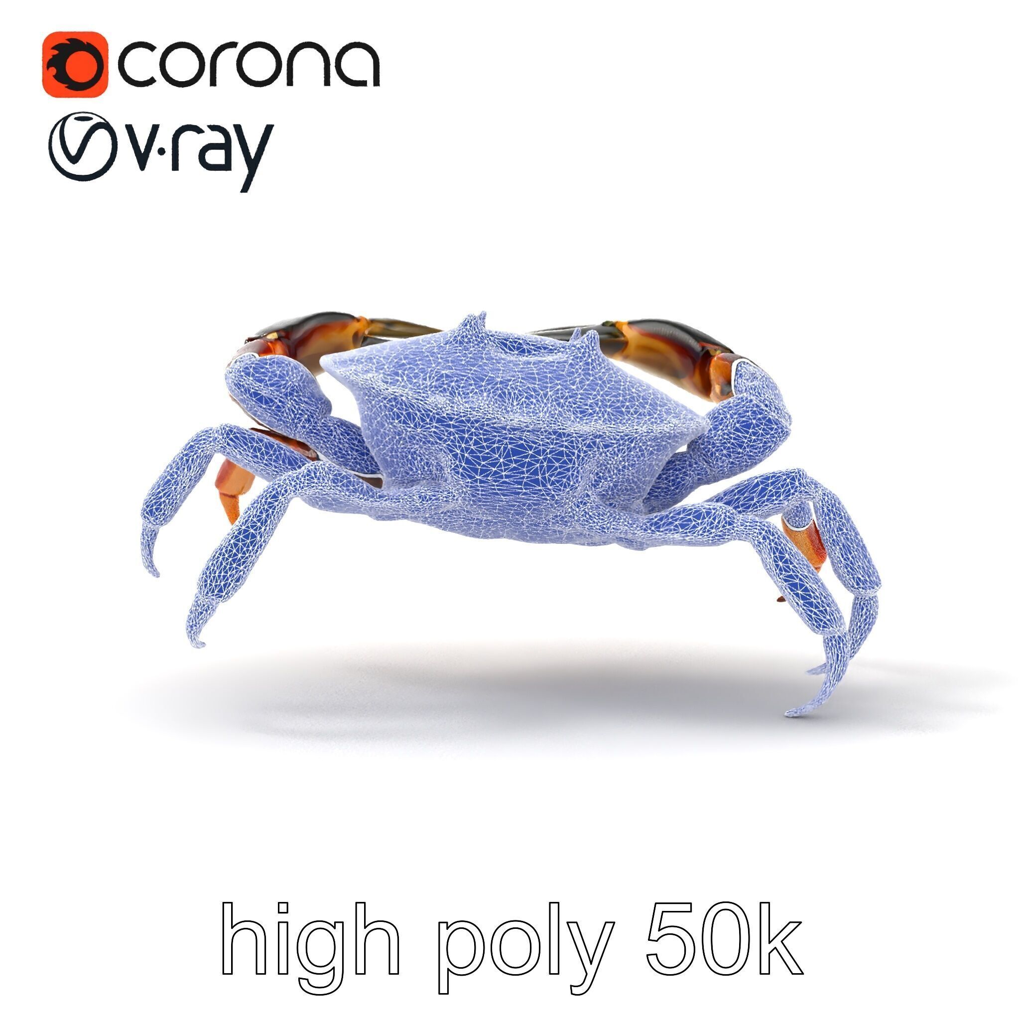 Mud Crab 3D Model Pack Featuring Realistic Earthy Texture Low-poly 3D model_18