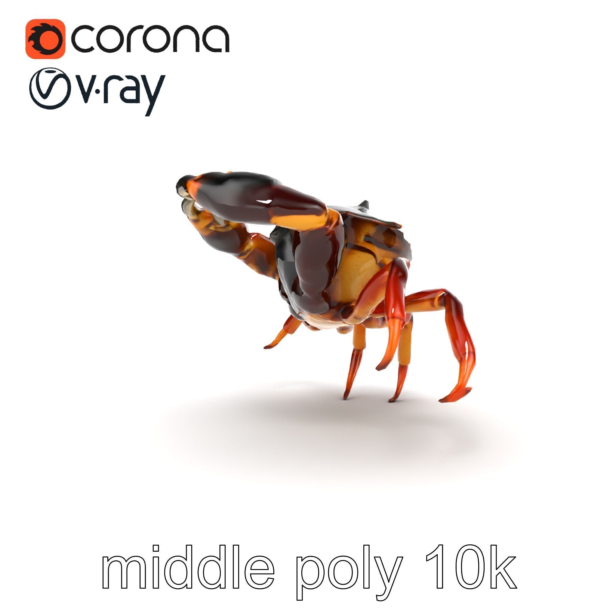 Mud Crab 3D Model Pack Featuring Realistic Earthy Texture Low-poly 3D model_14