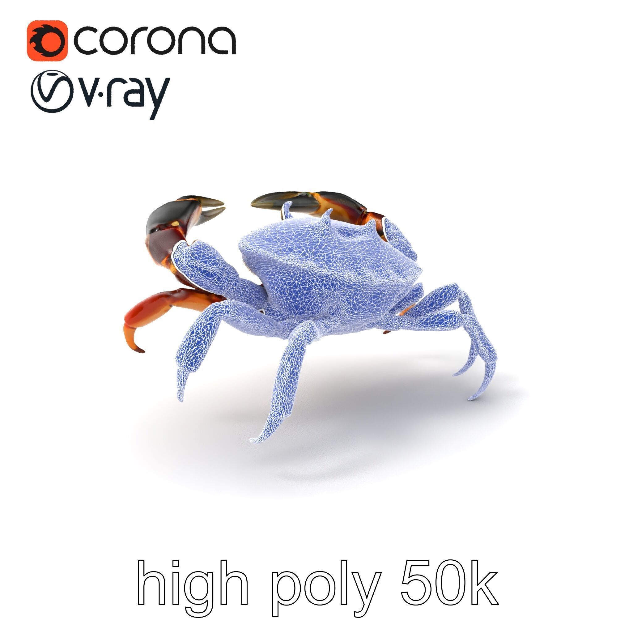 Mud Crab 3D Model Pack Featuring Realistic Earthy Texture Low-poly 3D model_1